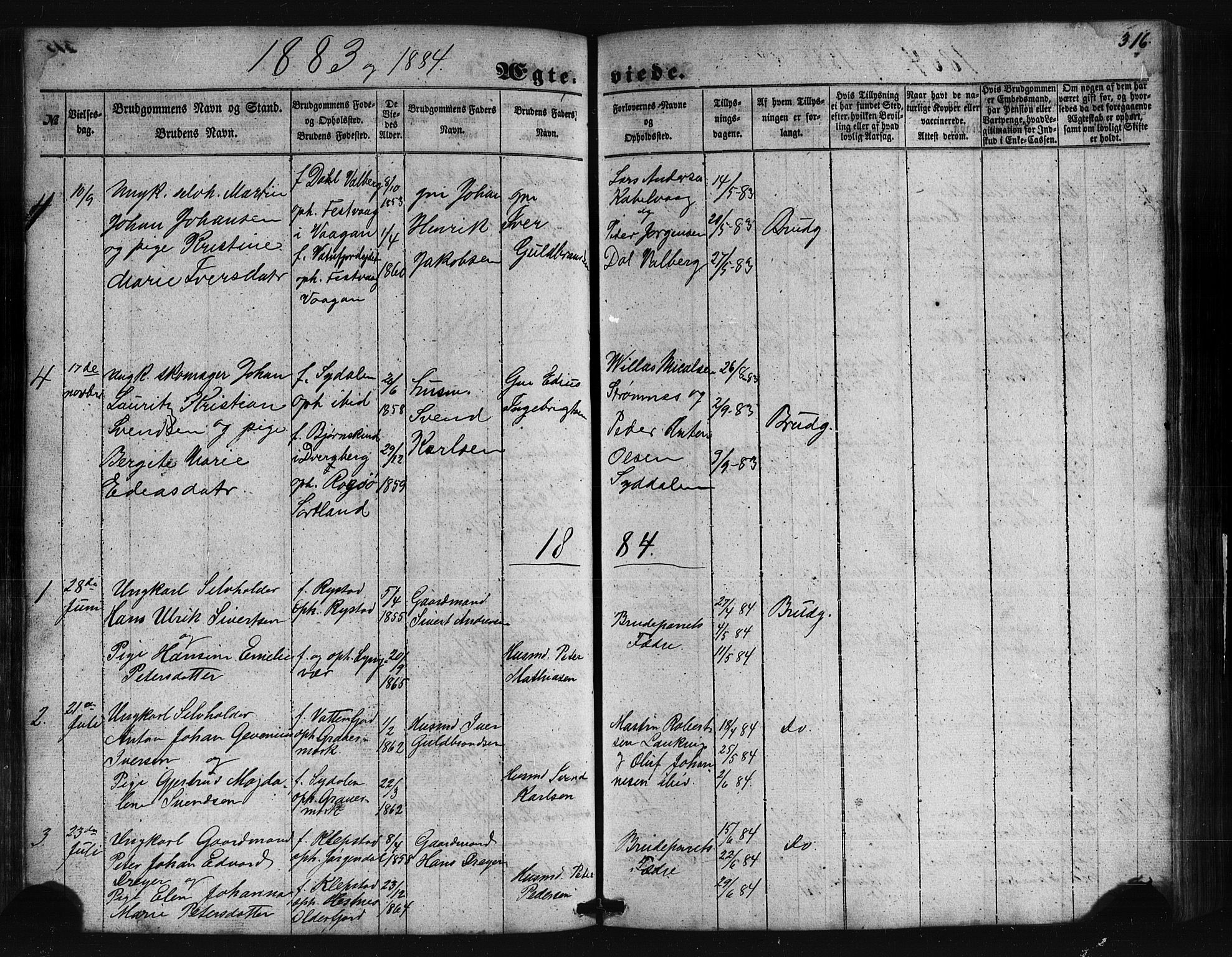 Ministerialprotokoller, klokkerbøker og fødselsregistre - Nordland, SAT/A-1459/876/L1095: Parish register (official) no. 876A01, 1863-1885, p. 316