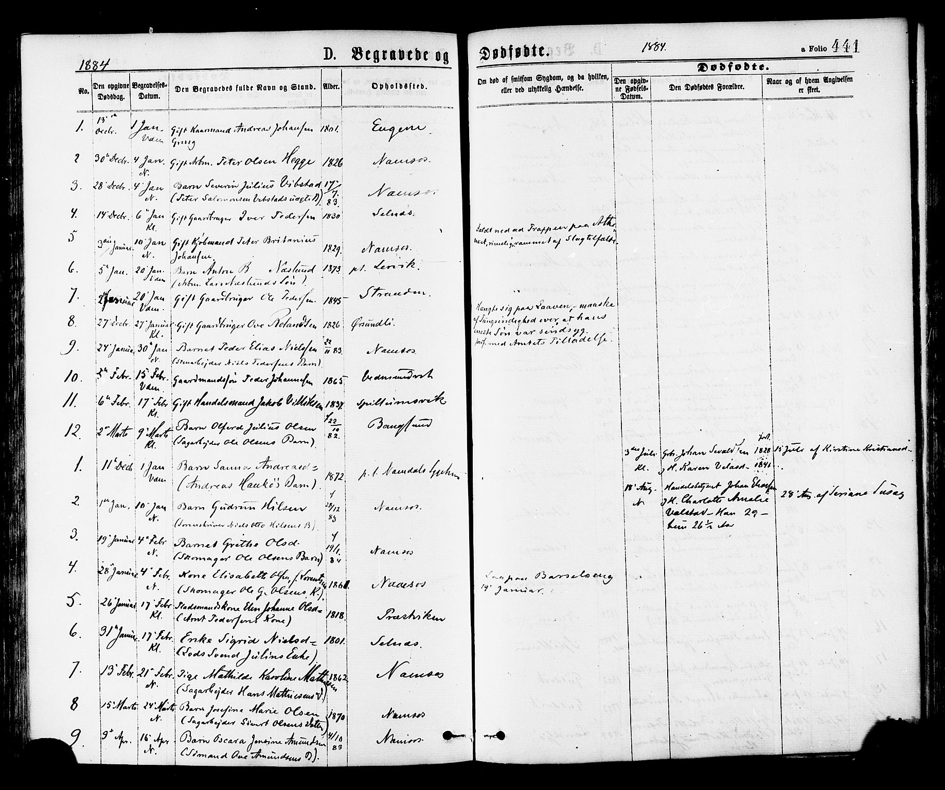 Ministerialprotokoller, klokkerbøker og fødselsregistre - Nord-Trøndelag, AV/SAT-A-1458/768/L0572: Parish register (official) no. 768A07, 1874-1886, p. 441