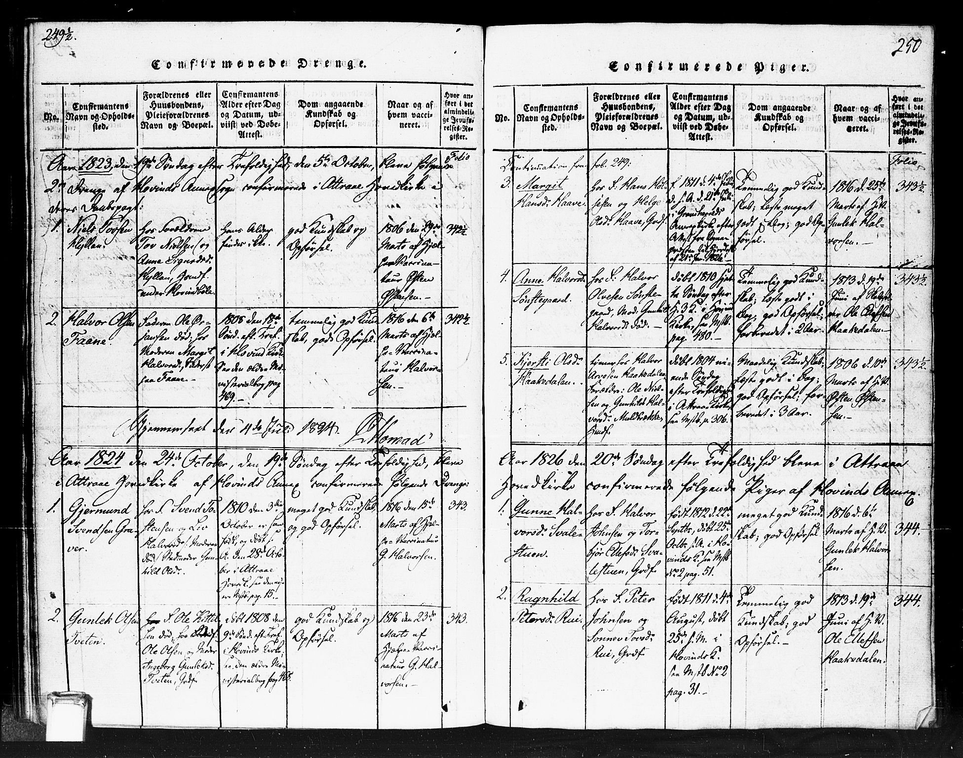 Gransherad kirkebøker, SAKO/A-267/F/Fb/L0002: Parish register (official) no. II 2, 1815-1843, p. 250