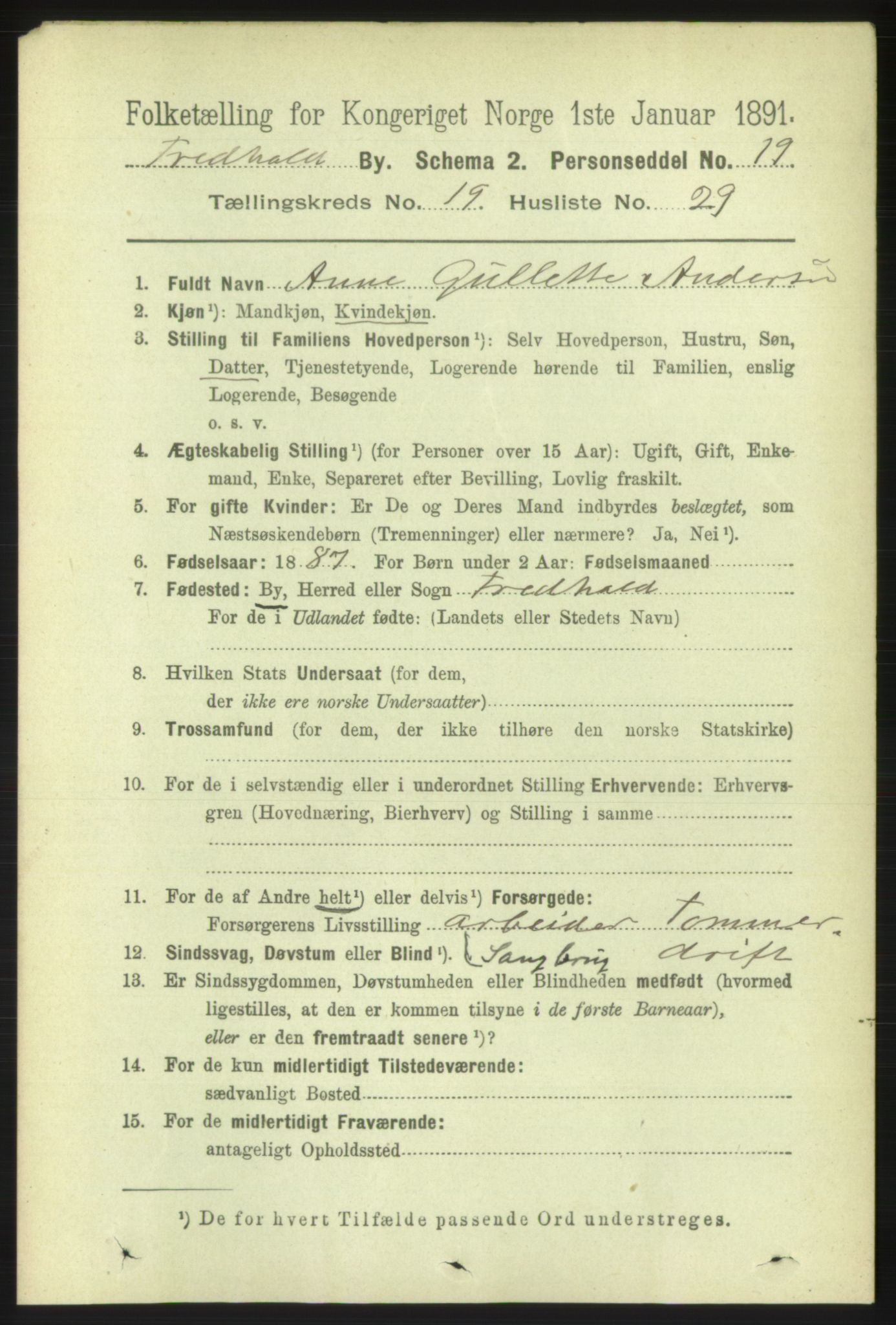 RA, 1891 census for 0101 Fredrikshald, 1891, p. 12363