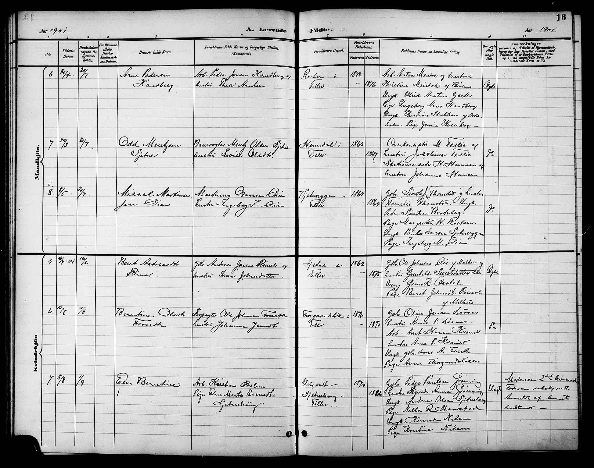 Ministerialprotokoller, klokkerbøker og fødselsregistre - Sør-Trøndelag, AV/SAT-A-1456/621/L0460: Parish register (copy) no. 621C03, 1896-1914, p. 16