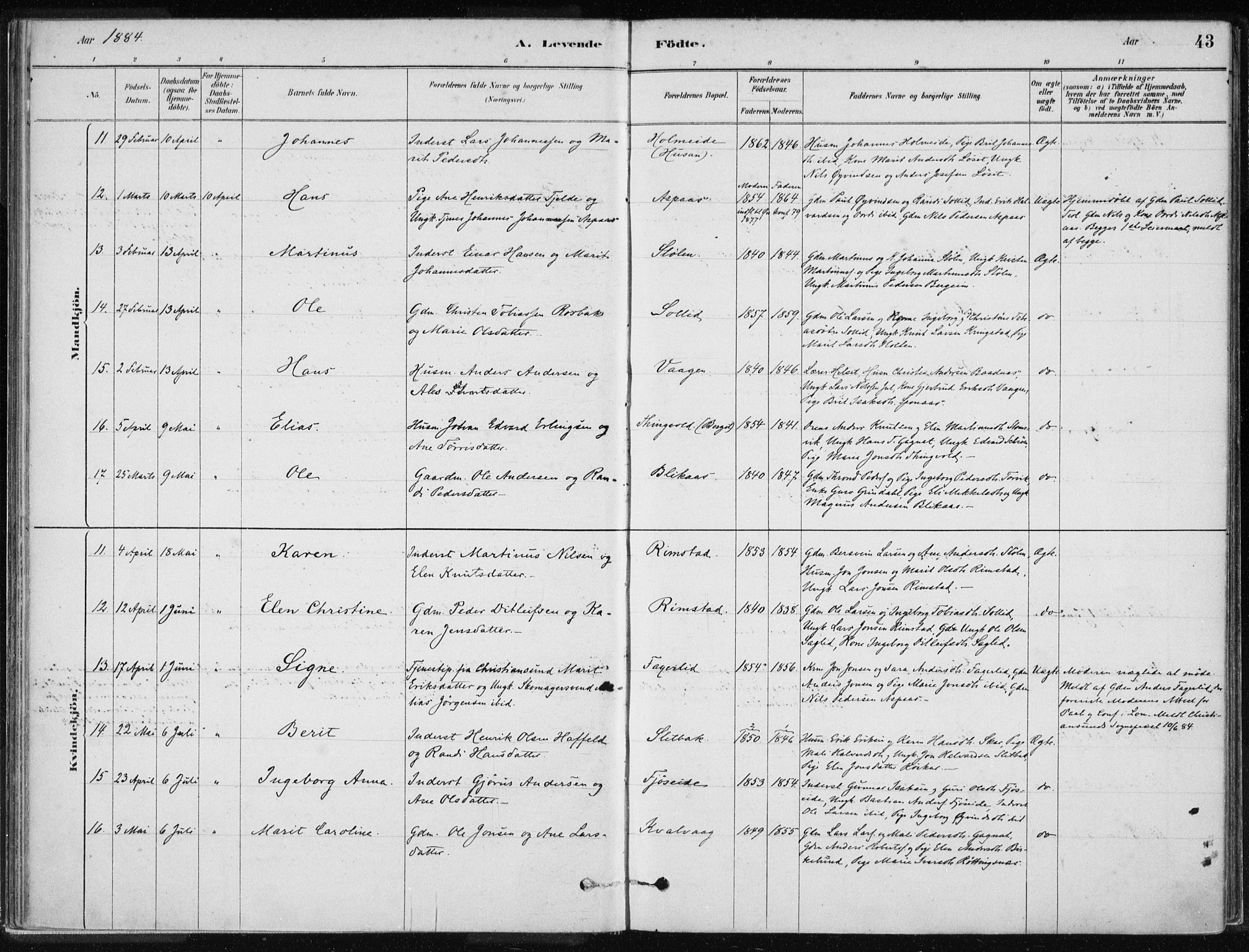 Ministerialprotokoller, klokkerbøker og fødselsregistre - Møre og Romsdal, AV/SAT-A-1454/586/L0987: Parish register (official) no. 586A13, 1879-1892, p. 43