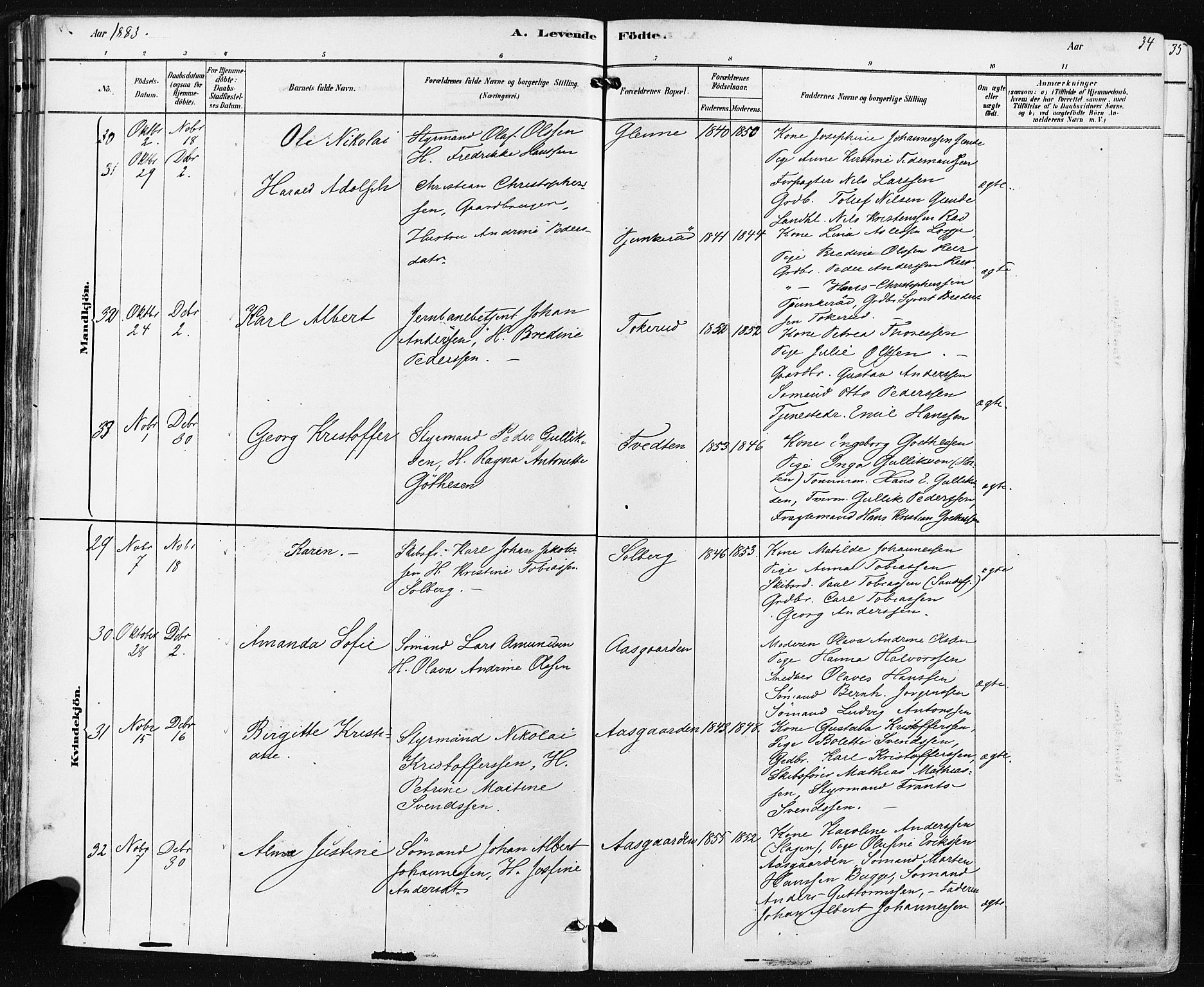 Borre kirkebøker, AV/SAKO-A-338/F/Fa/L0009: Parish register (official) no. I 9, 1878-1896, p. 34