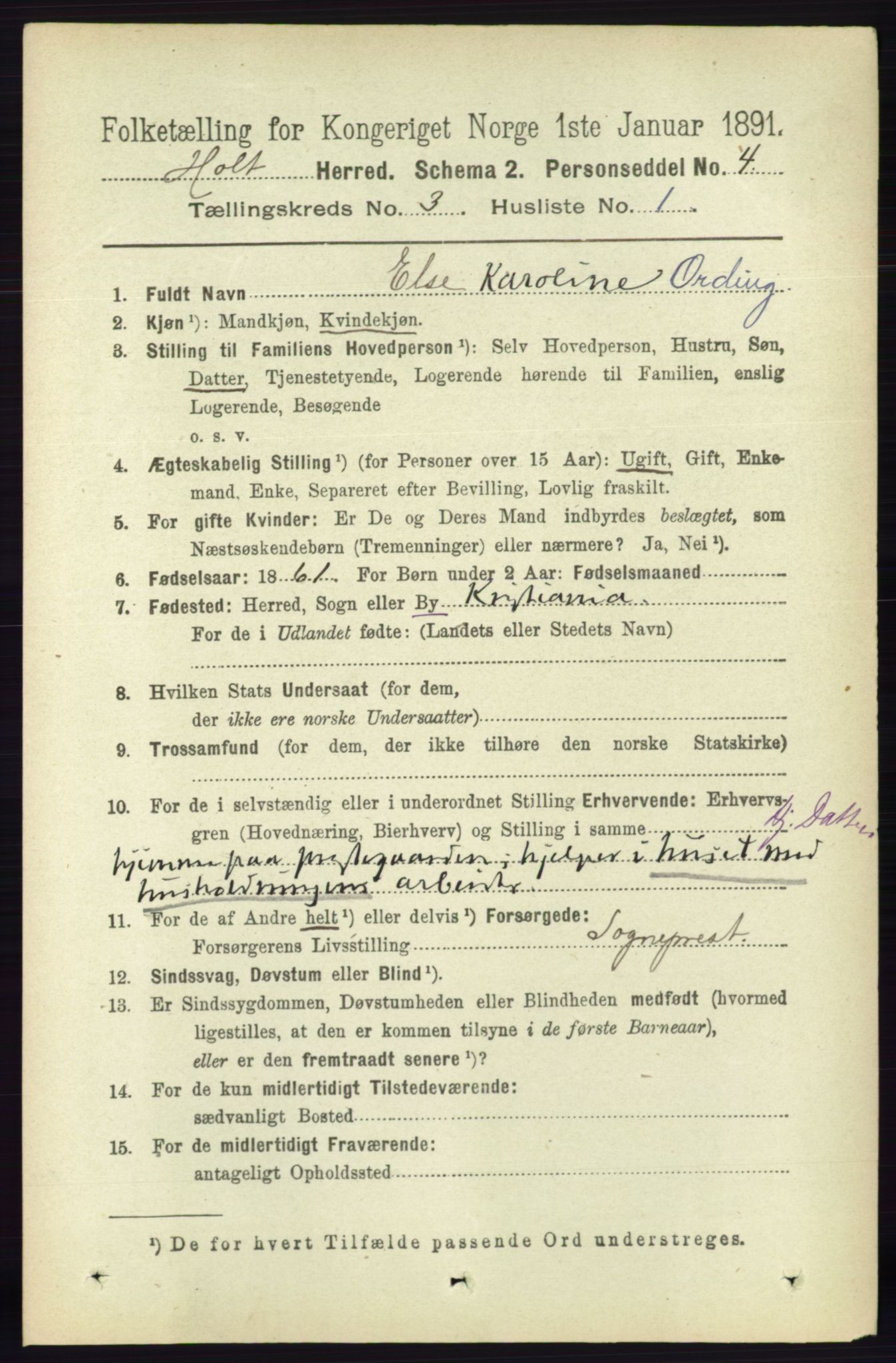 RA, 1891 census for 0914 Holt, 1891, p. 1039