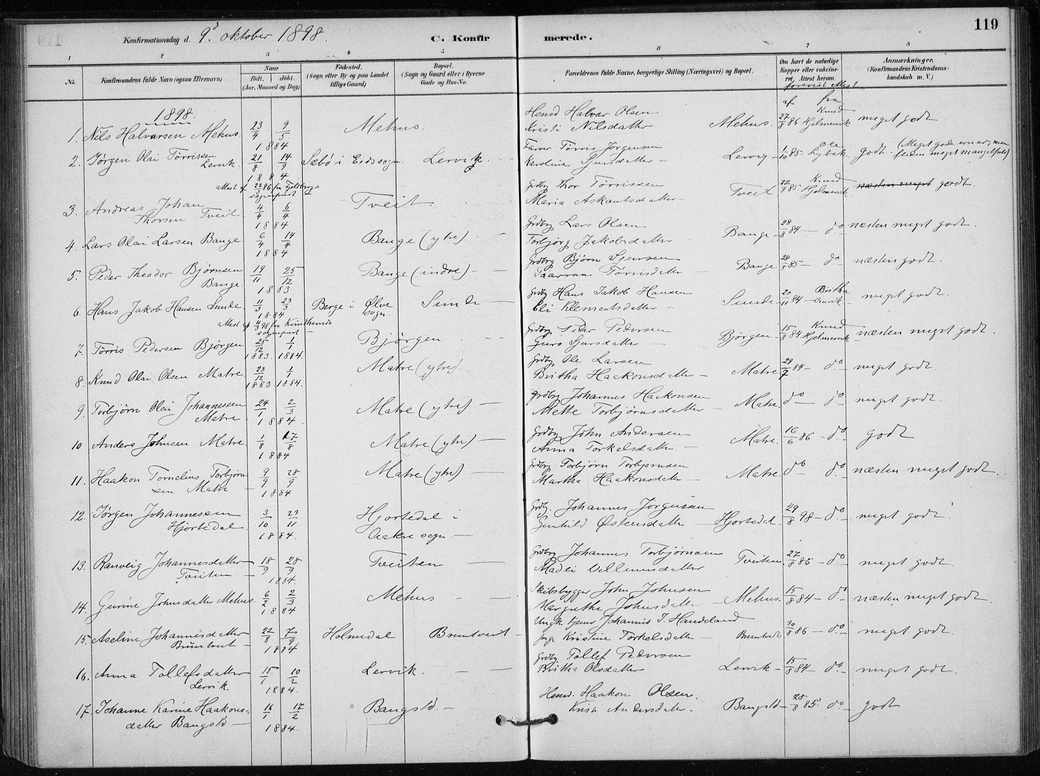 Skånevik sokneprestembete, AV/SAB-A-77801/H/Haa: Parish register (official) no. C  1, 1879-1917, p. 119