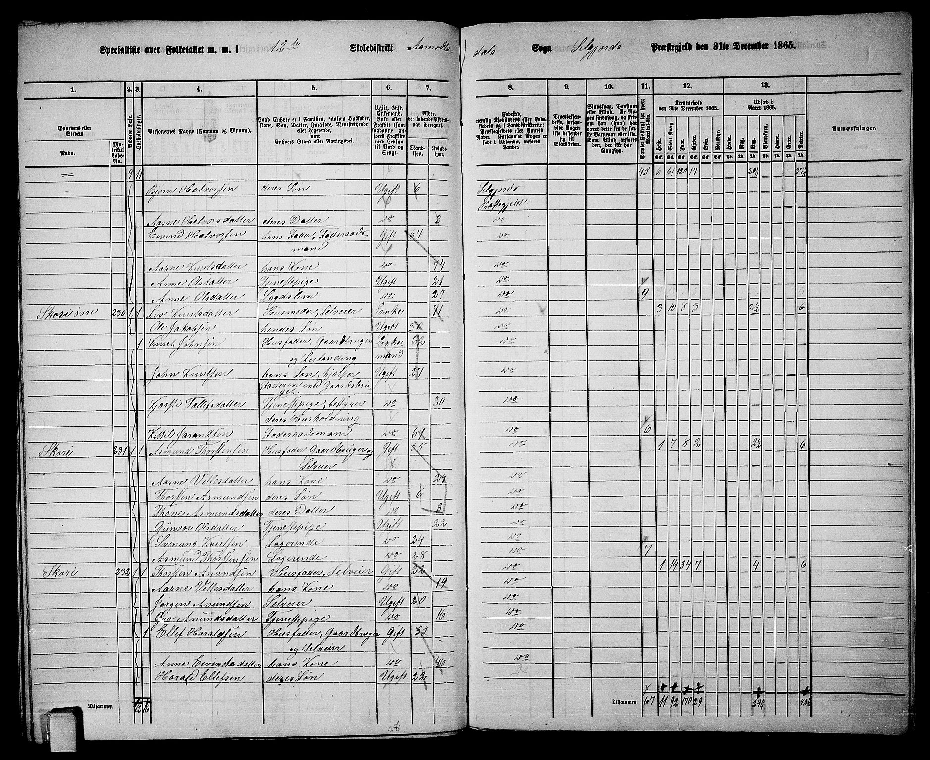 RA, 1865 census for Seljord, 1865, p. 165