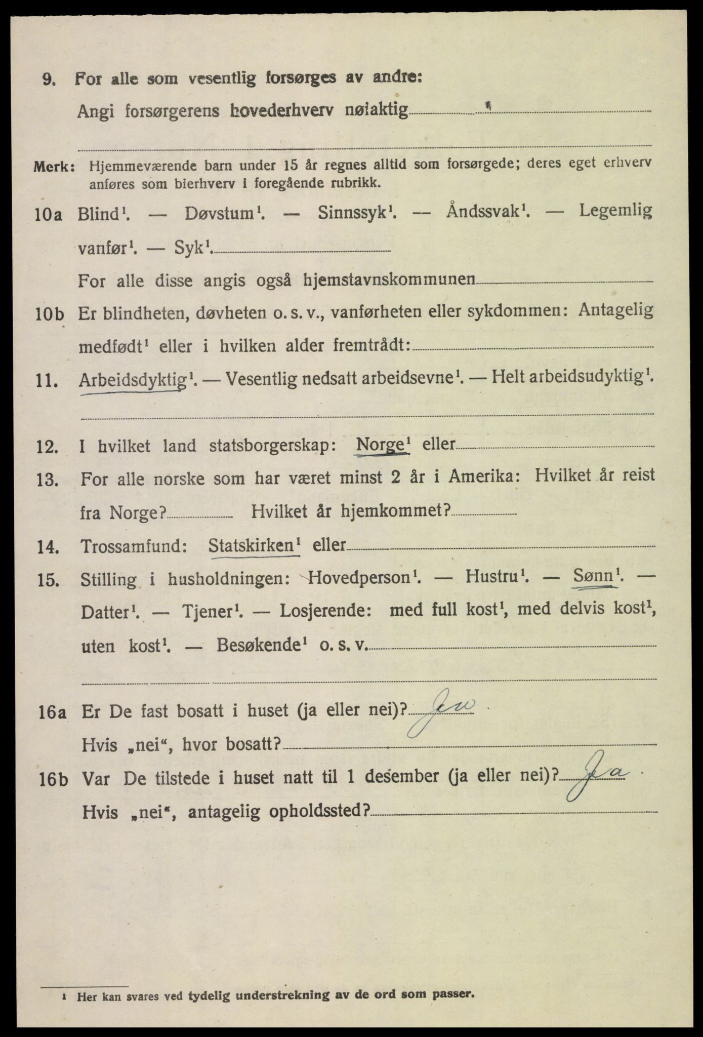 SAH, 1920 census for Sel, 1920, p. 3127