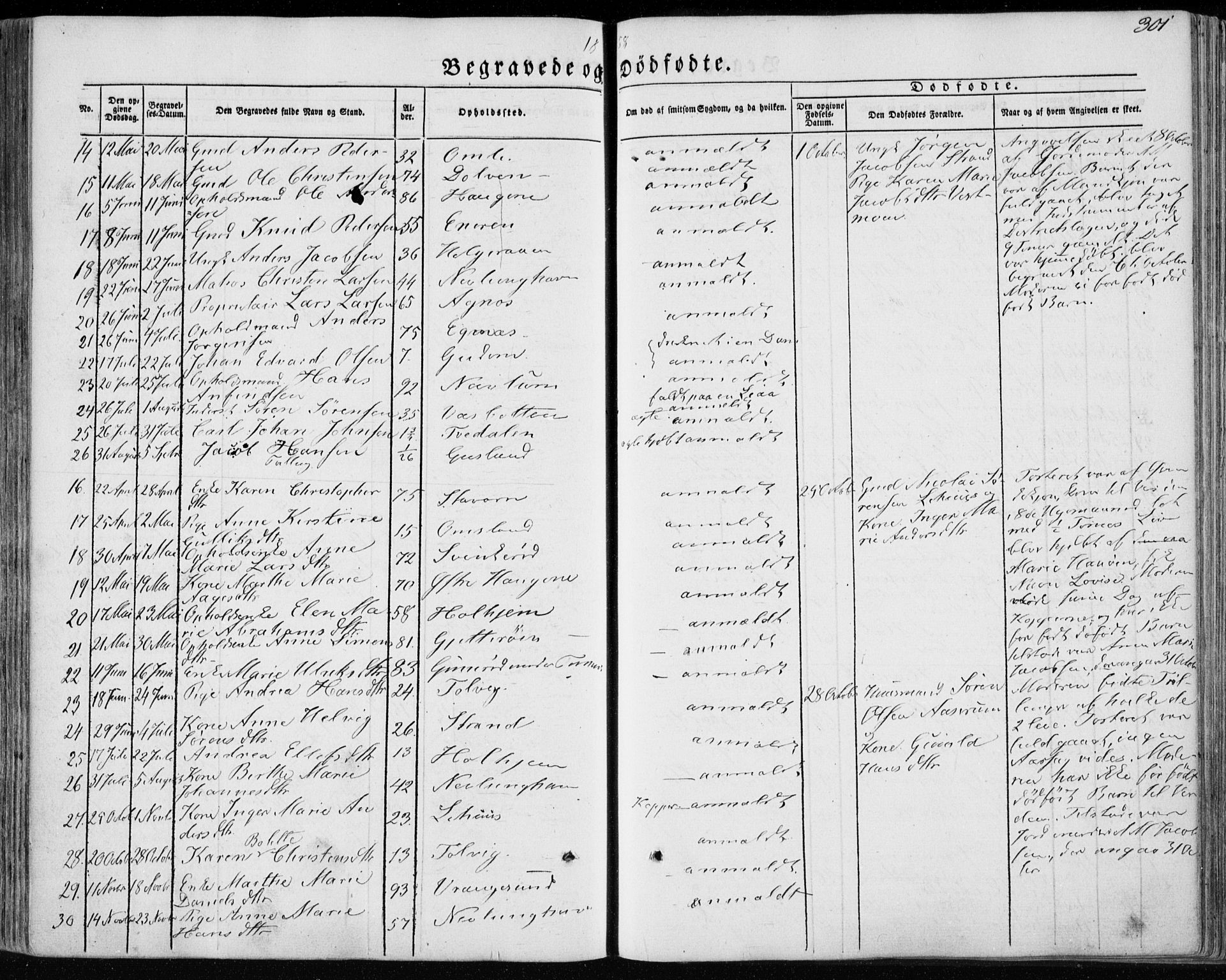 Brunlanes kirkebøker, AV/SAKO-A-342/F/Fa/L0004: Parish register (official) no. I 4, 1846-1862, p. 301