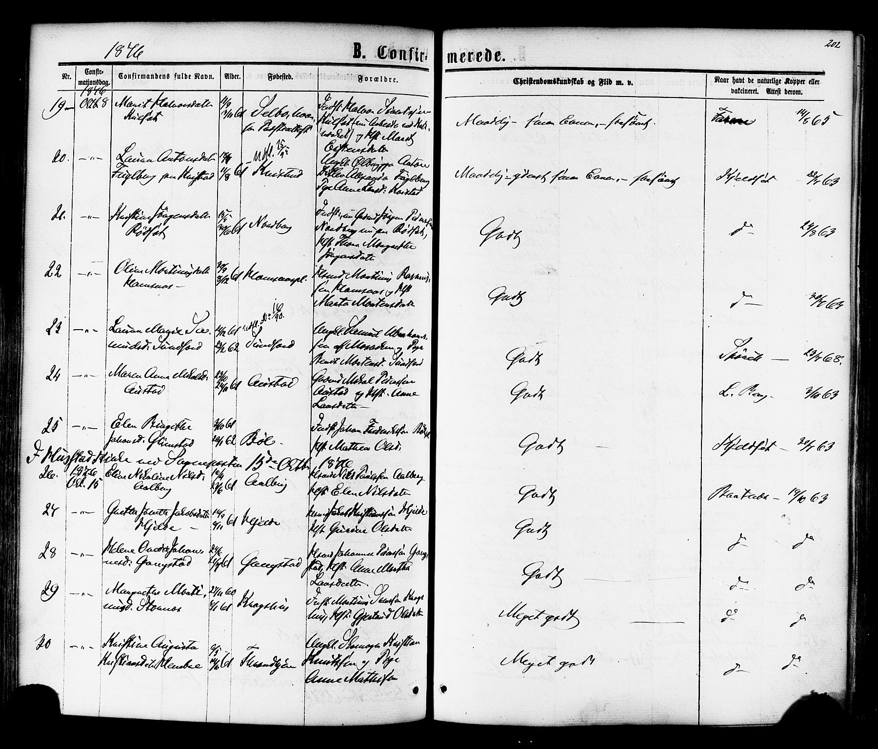 Ministerialprotokoller, klokkerbøker og fødselsregistre - Nord-Trøndelag, AV/SAT-A-1458/730/L0284: Parish register (official) no. 730A09, 1866-1878, p. 202