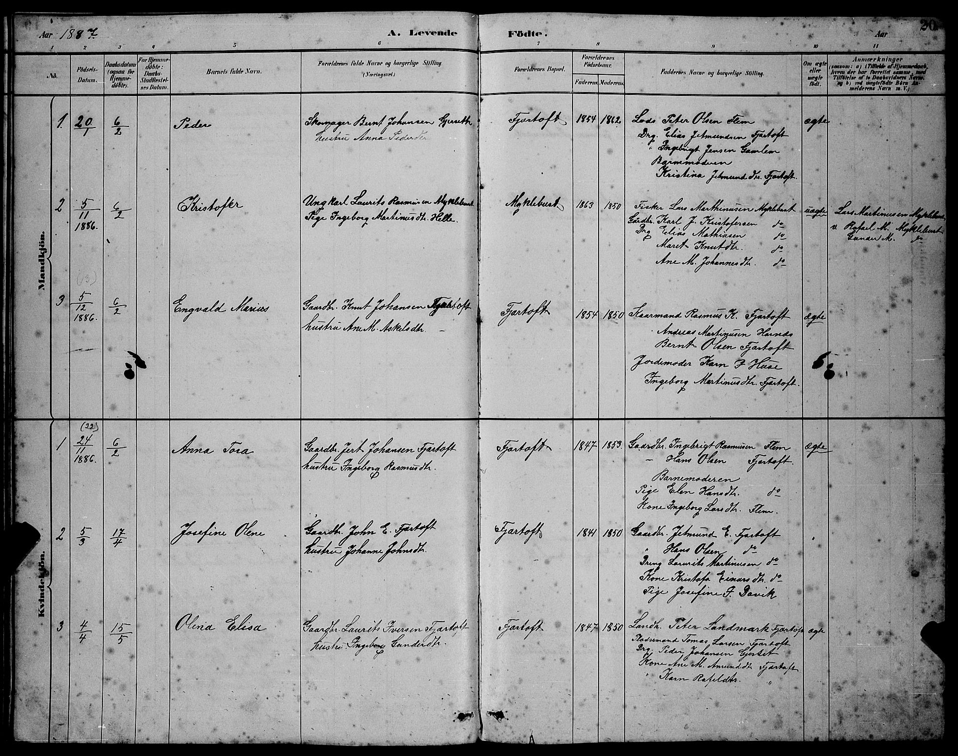 Ministerialprotokoller, klokkerbøker og fødselsregistre - Møre og Romsdal, SAT/A-1454/538/L0523: Parish register (copy) no. 538C01, 1881-1900, p. 20