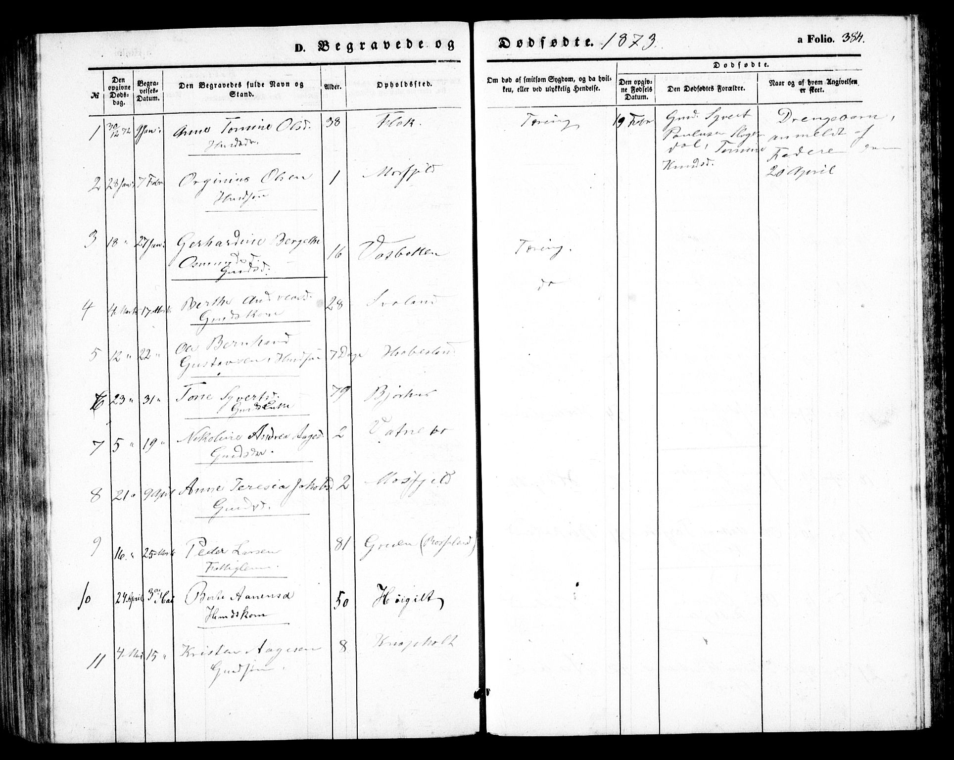 Birkenes sokneprestkontor, AV/SAK-1111-0004/F/Fb/L0002: Parish register (copy) no. B 2, 1849-1876, p. 384