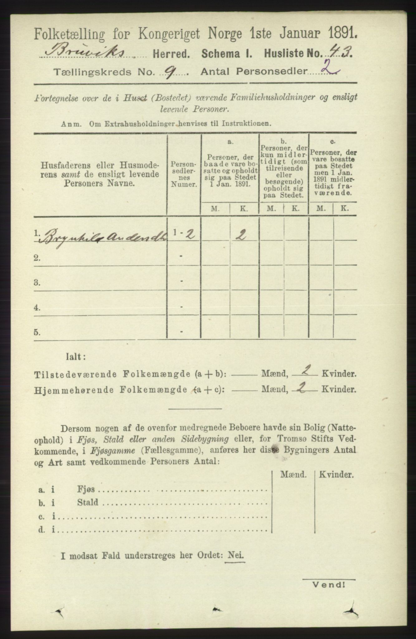 RA, 1891 census for 1251 Bruvik, 1891, p. 3253