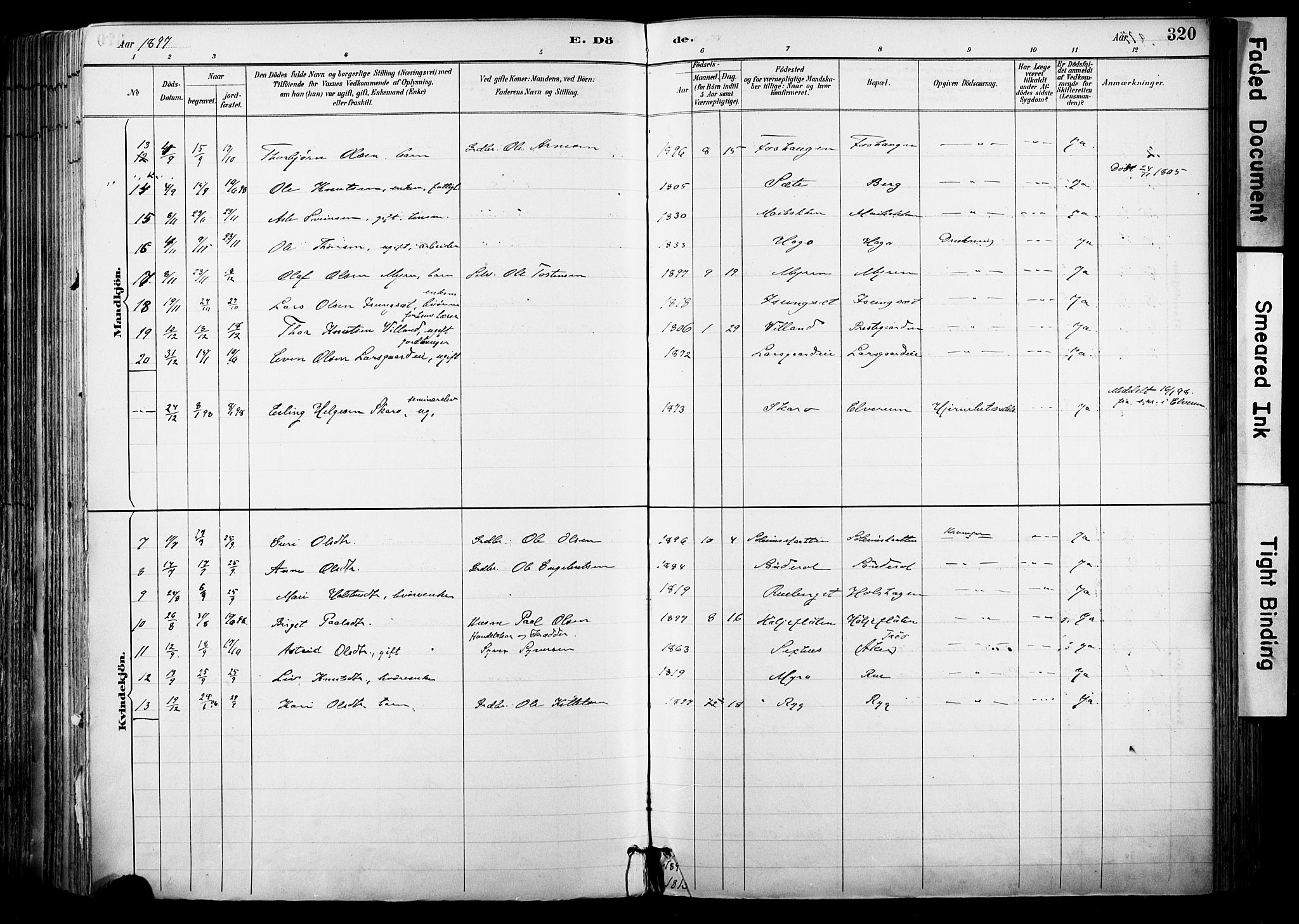 Hol kirkebøker, AV/SAKO-A-227/F/Fa/L0003: Parish register (official) no. I 3, 1887-1918, p. 320