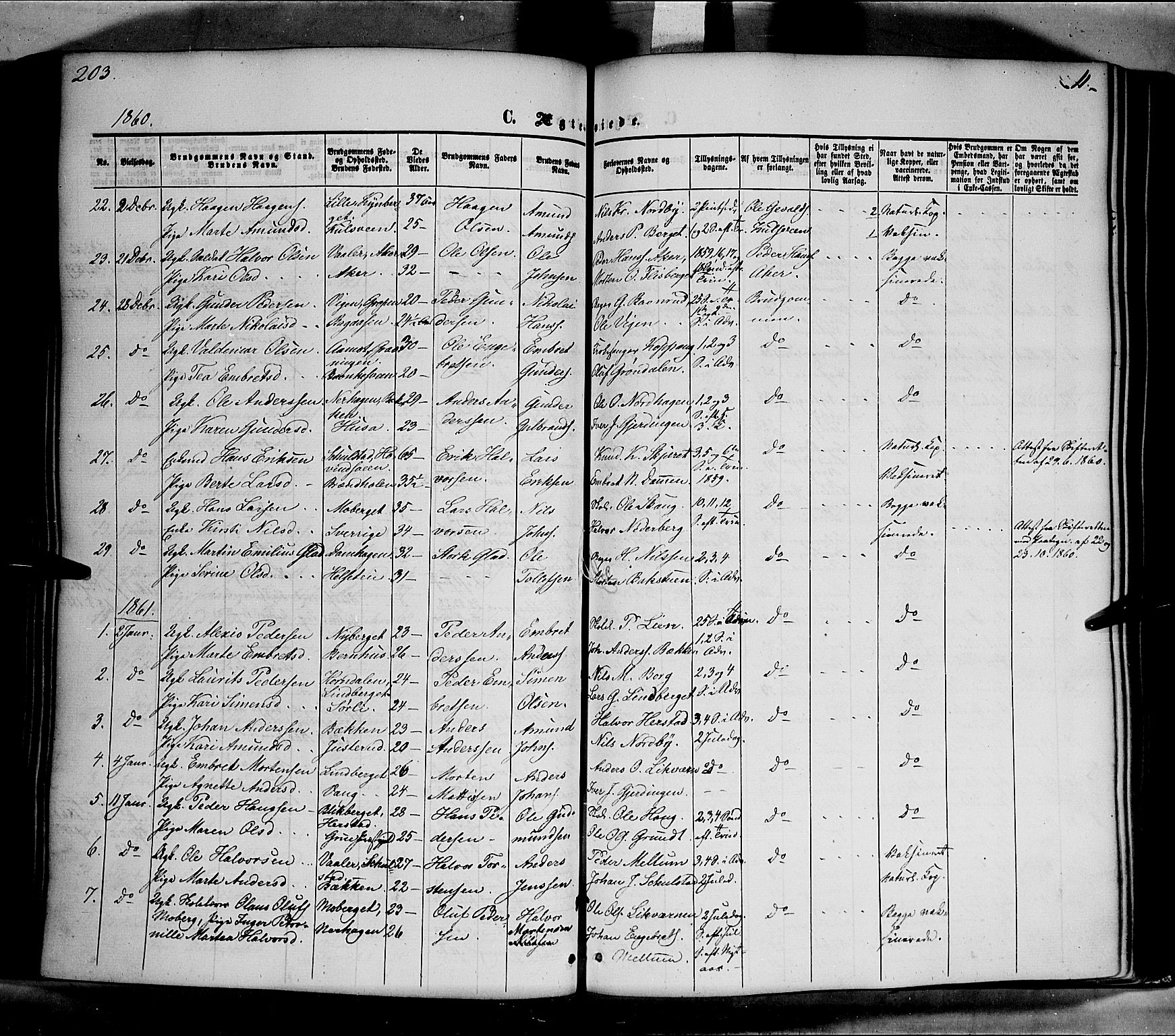 Elverum prestekontor, SAH/PREST-044/H/Ha/Haa/L0010: Parish register (official) no. 10, 1857-1868, p. 203
