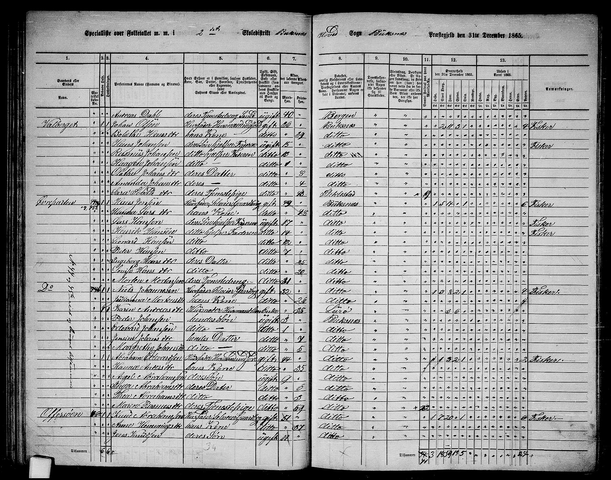 RA, 1865 census for Buksnes, 1865, p. 41