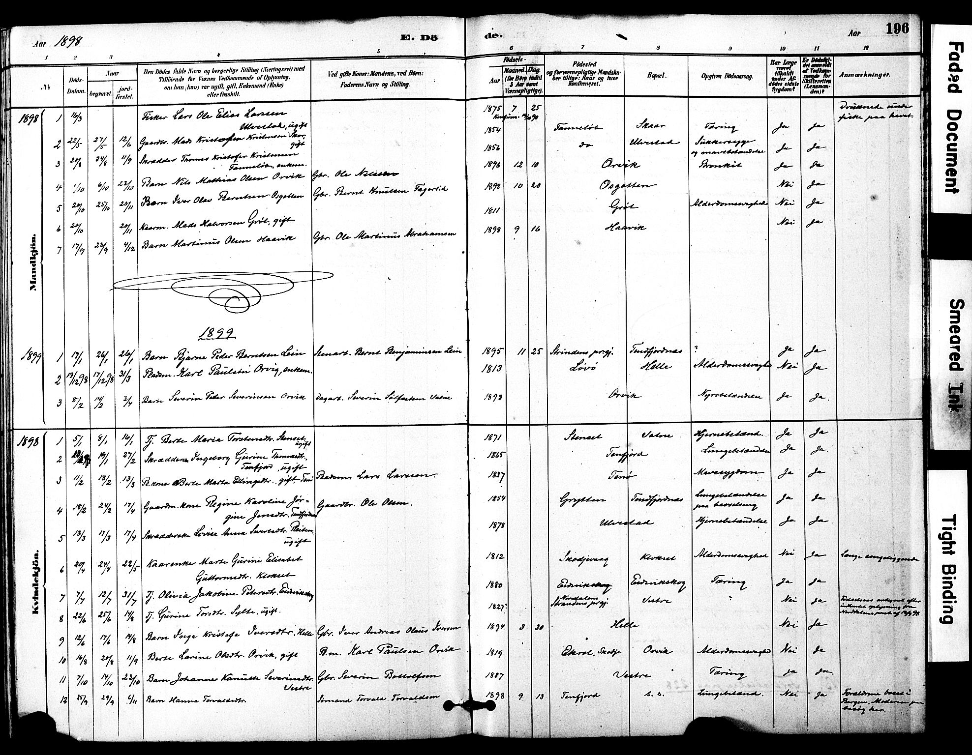 Ministerialprotokoller, klokkerbøker og fødselsregistre - Møre og Romsdal, SAT/A-1454/525/L0374: Parish register (official) no. 525A04, 1880-1899, p. 196