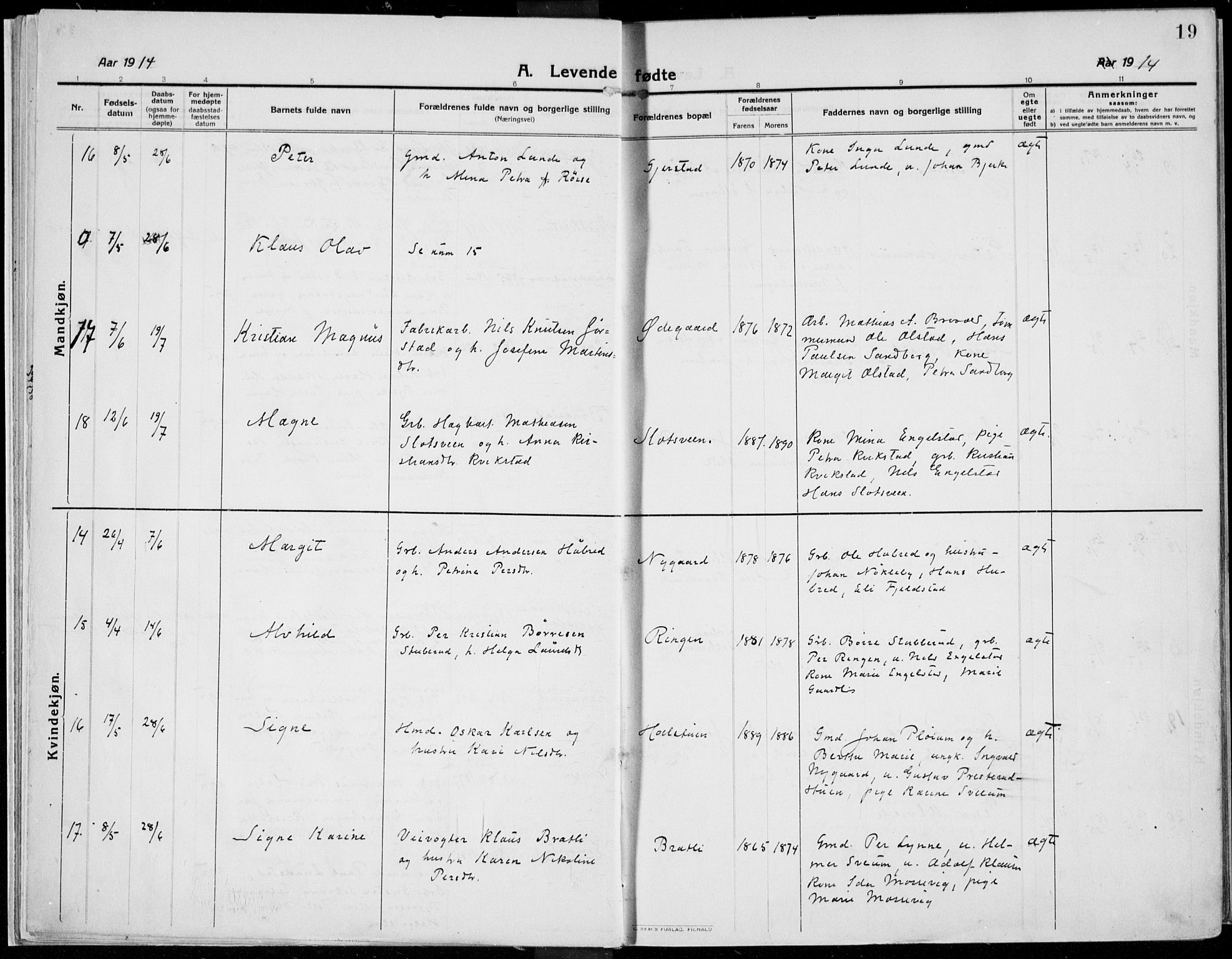 Kolbu prestekontor, AV/SAH-PREST-110/H/Ha/Haa/L0002: Parish register (official) no. 2, 1912-1926, p. 19