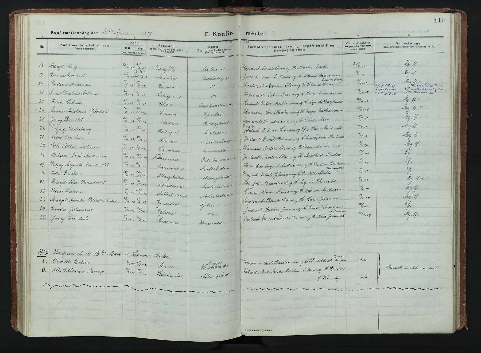 Stange prestekontor, AV/SAH-PREST-002/K/L0028: Parish register (official) no. 28, 1913-1932, p. 119