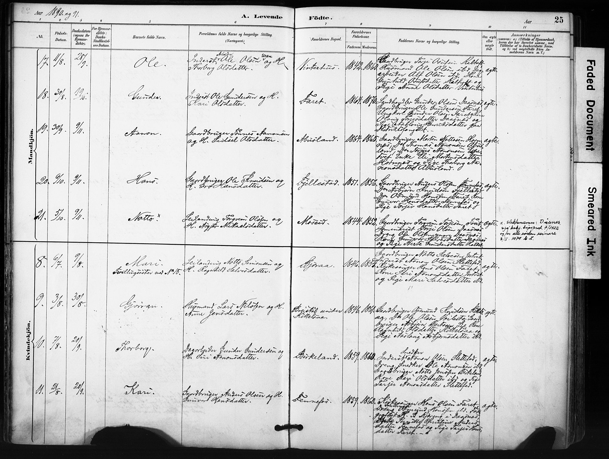 Evje sokneprestkontor, SAK/1111-0008/F/Fa/Fab/L0003: Parish register (official) no. A 3, 1884-1909, p. 25