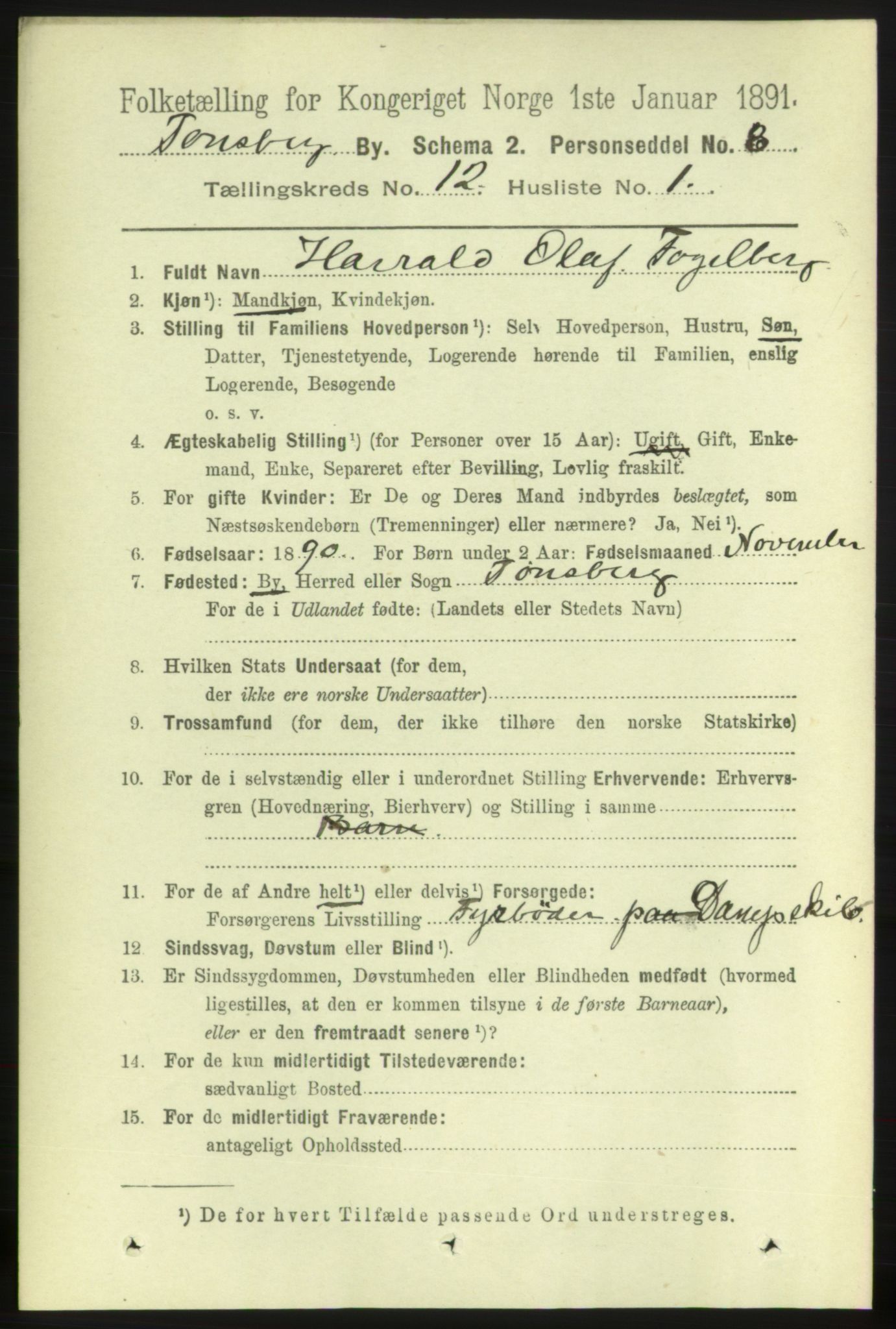 RA, 1891 census for 0705 Tønsberg, 1891, p. 4070