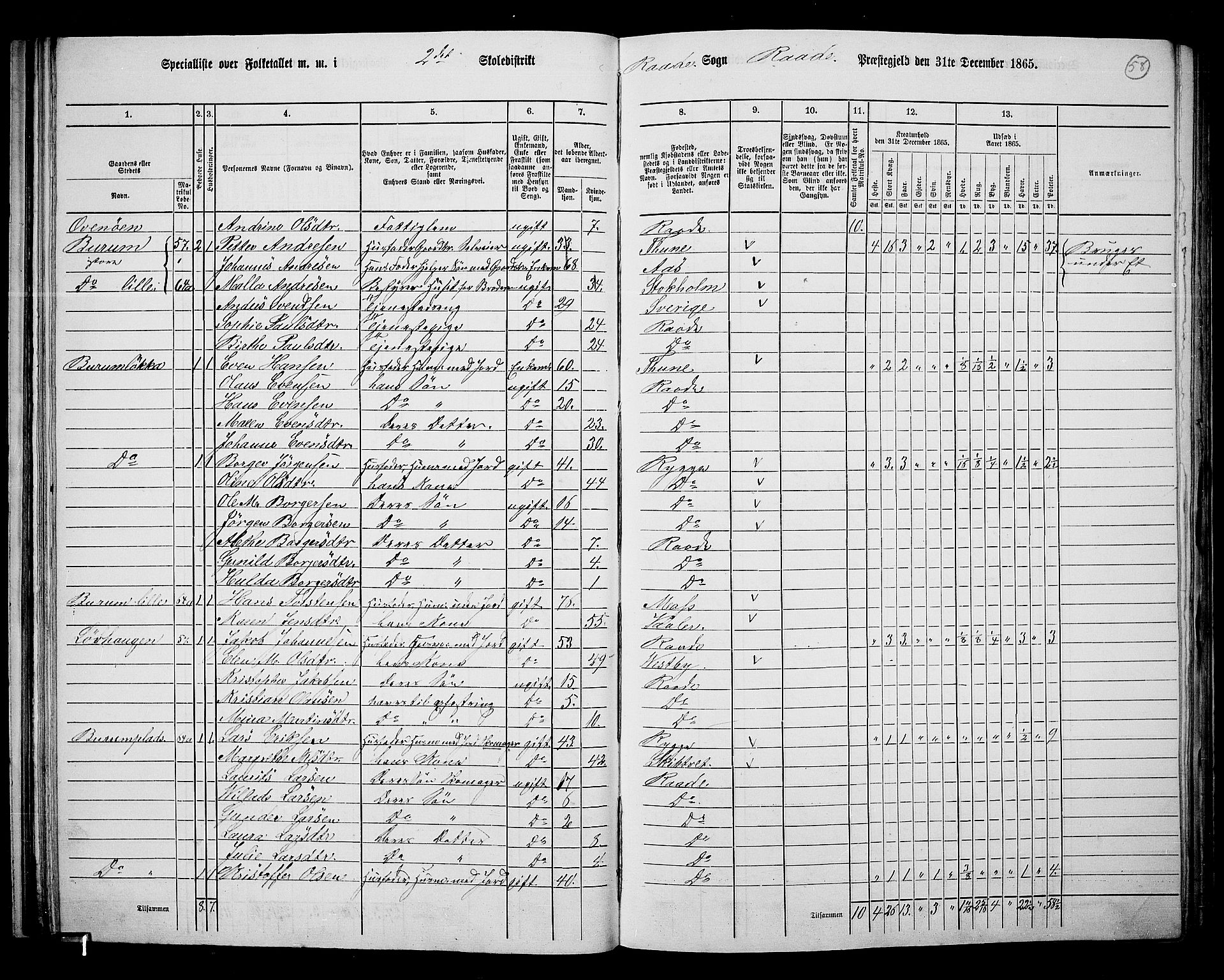 RA, 1865 census for Råde, 1865, p. 52