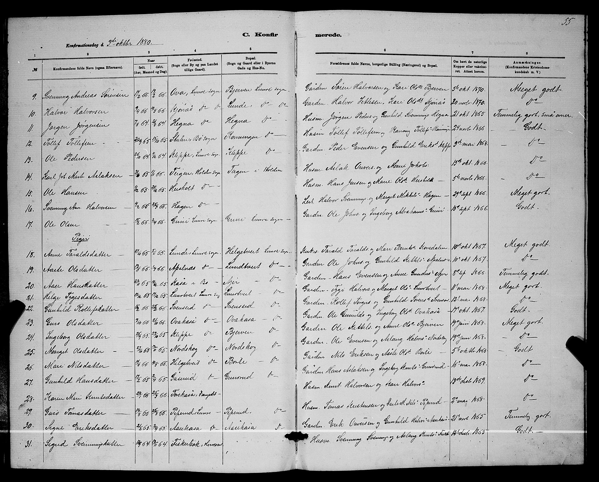 Lunde kirkebøker, SAKO/A-282/G/Ga/L0001b: Parish register (copy) no. I 1, 1879-1887, p. 55