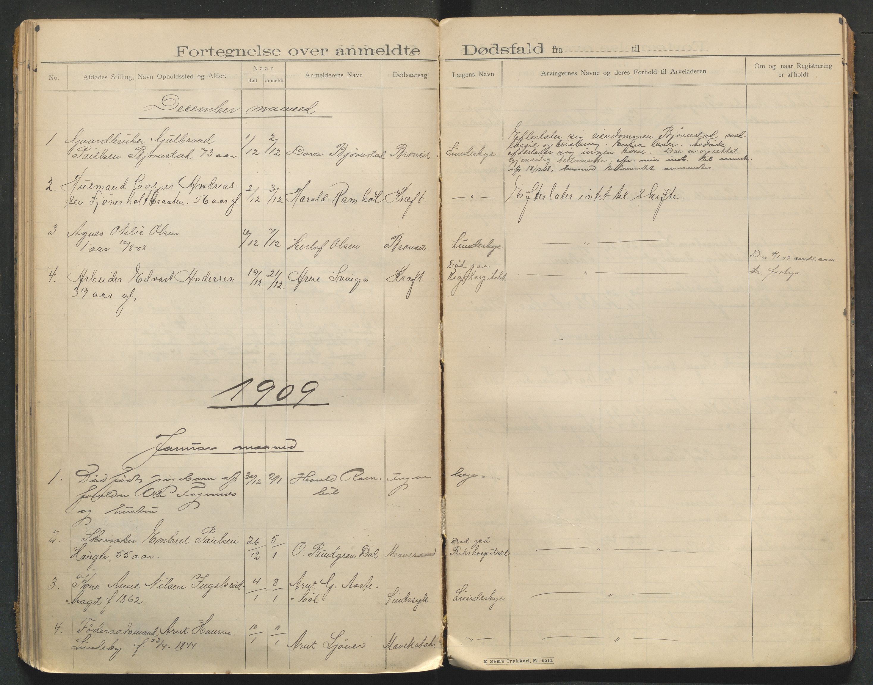 Eidskog lensmannskontor, AV/SAH-LHE-009/H/Ha/Haa/L0001/0002: Dødsfallsprotokoller / Dødsfallsprotokoll, 1901-1910
