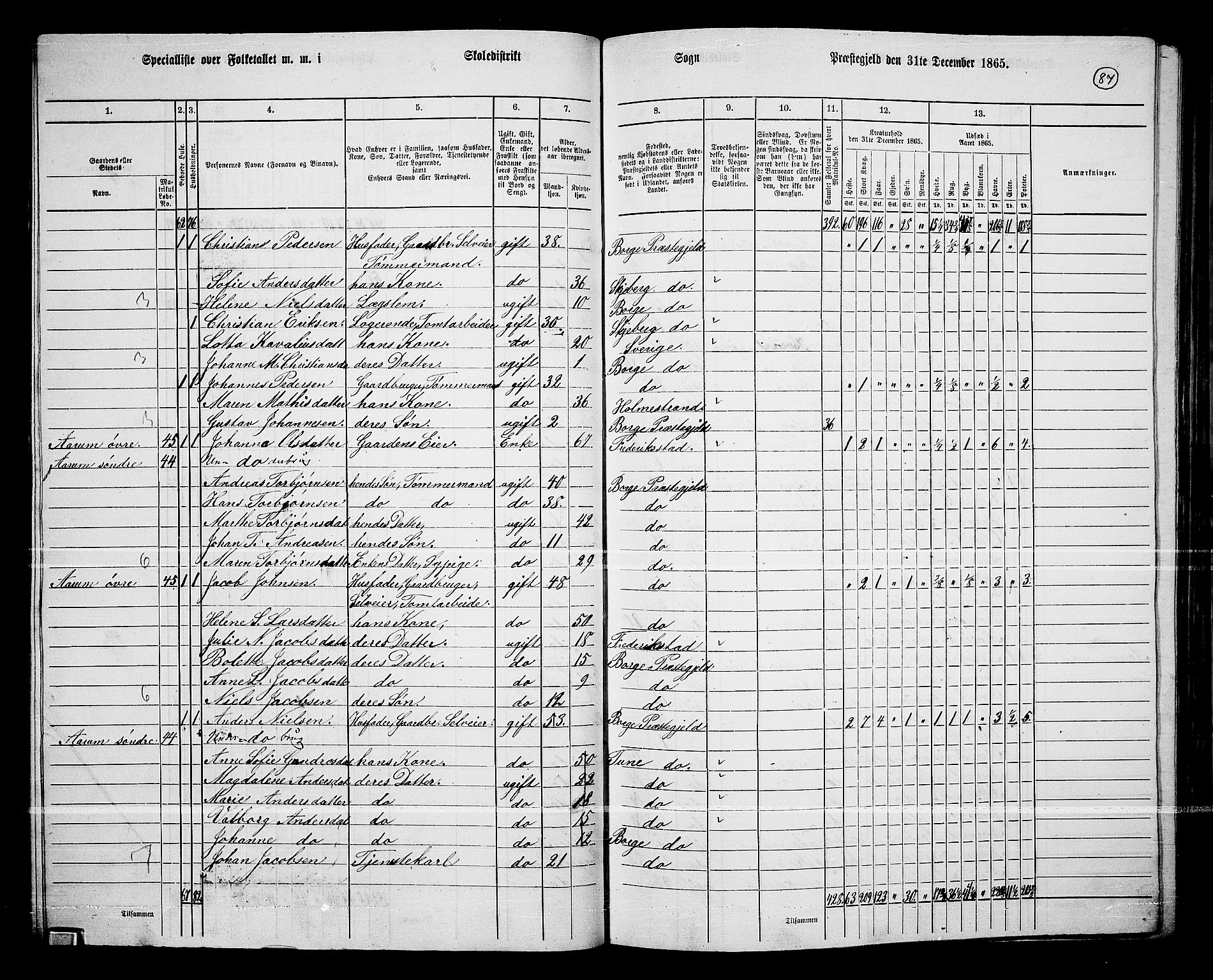 RA, 1865 census for Borge, 1865, p. 82