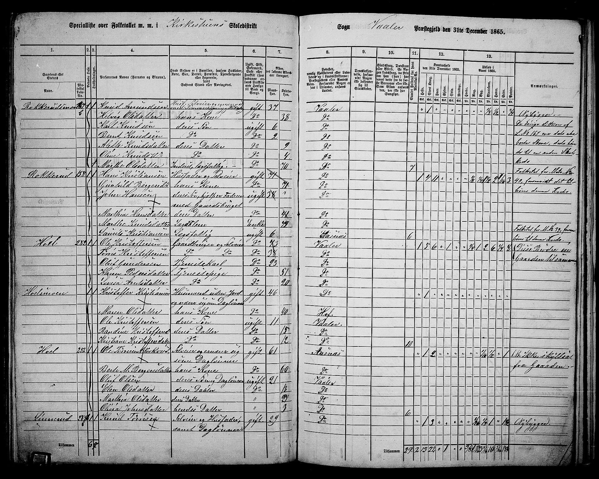 RA, 1865 census for Våler, 1865, p. 133