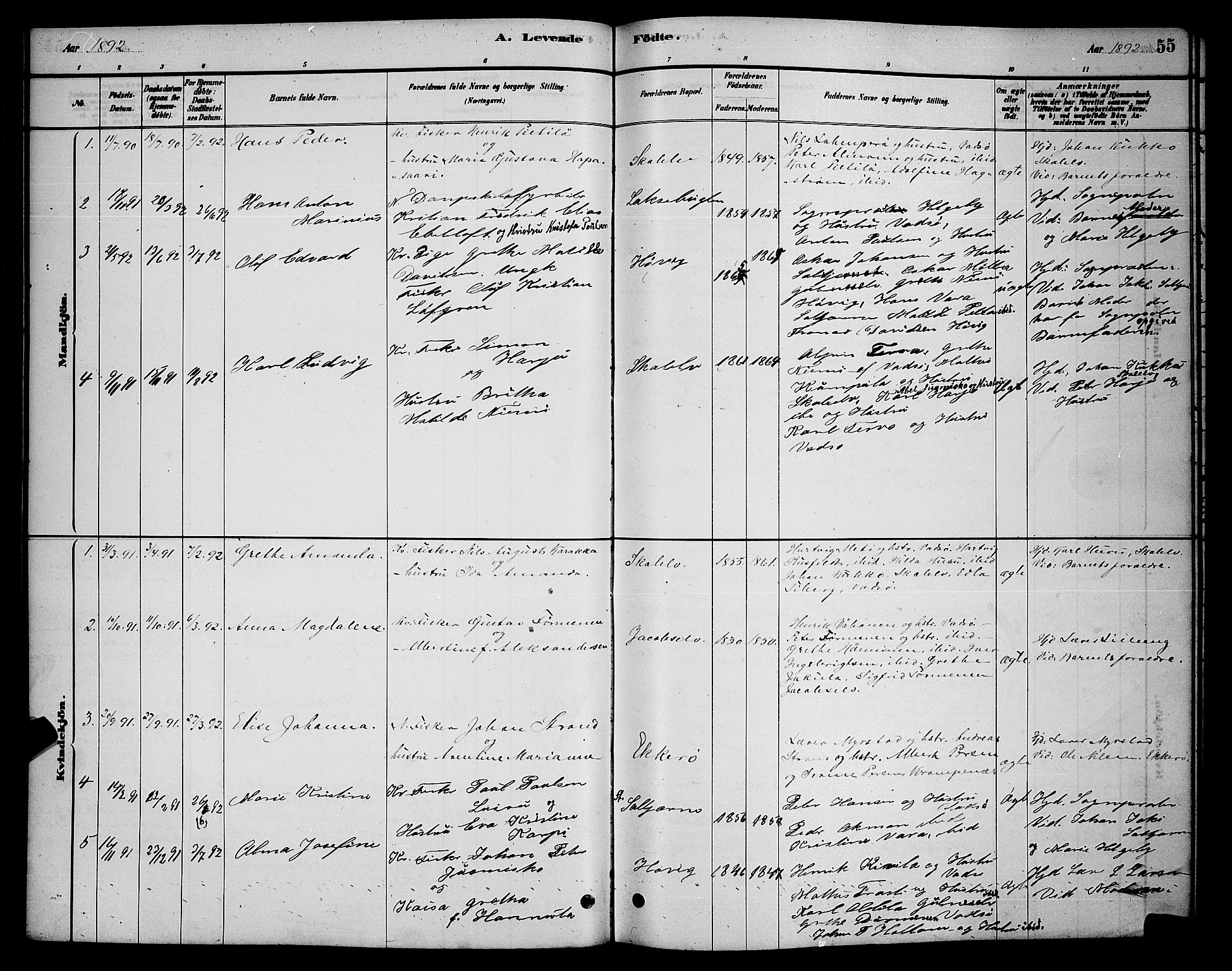 Vadsø sokneprestkontor, SATØ/S-1325/H/Hb/L0003klokker: Parish register (copy) no. 3, 1881-1901, p. 55