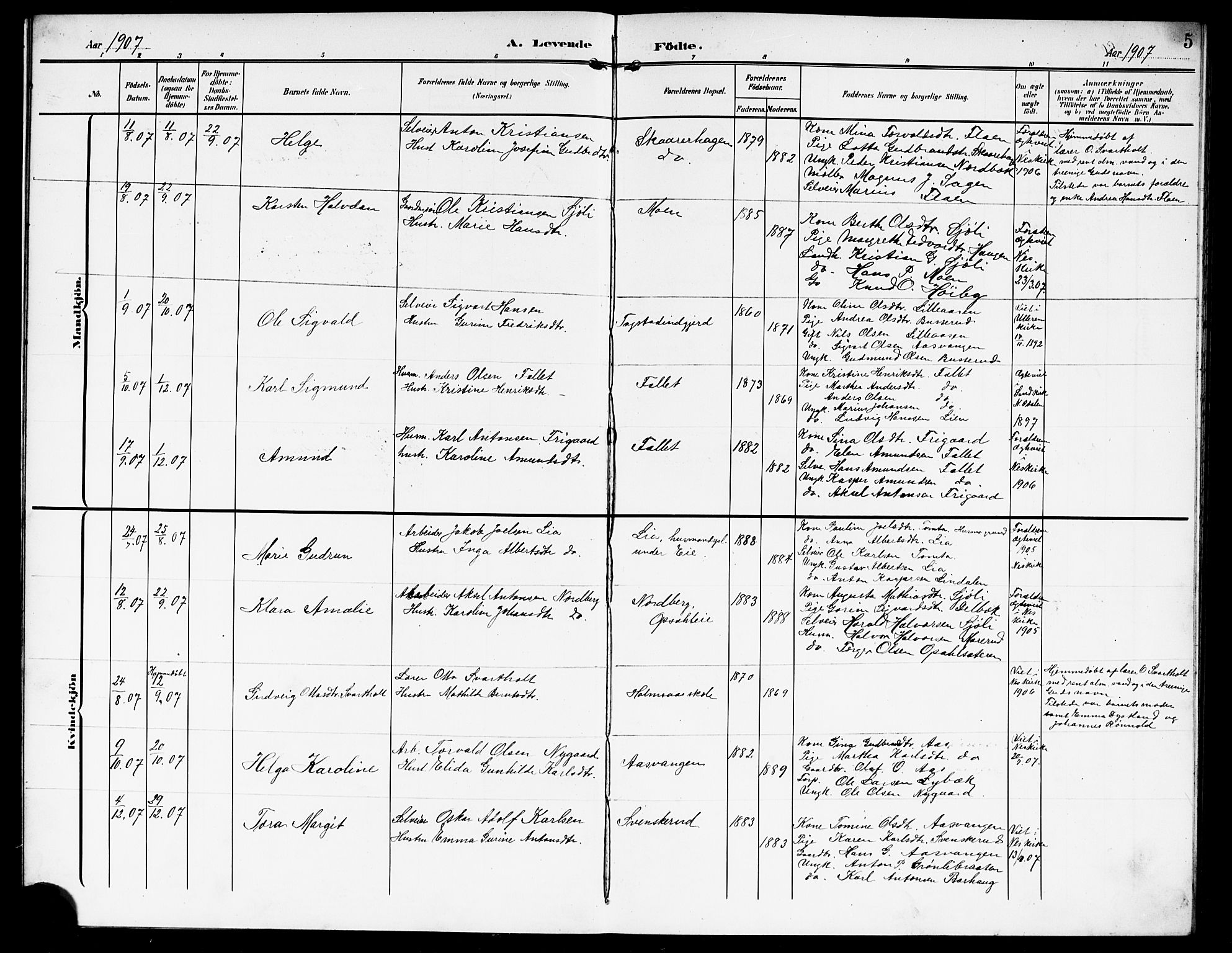 Nes prestekontor Kirkebøker, AV/SAO-A-10410/G/Gd/L0001: Parish register (copy) no. IV 1, 1907-1922, p. 5