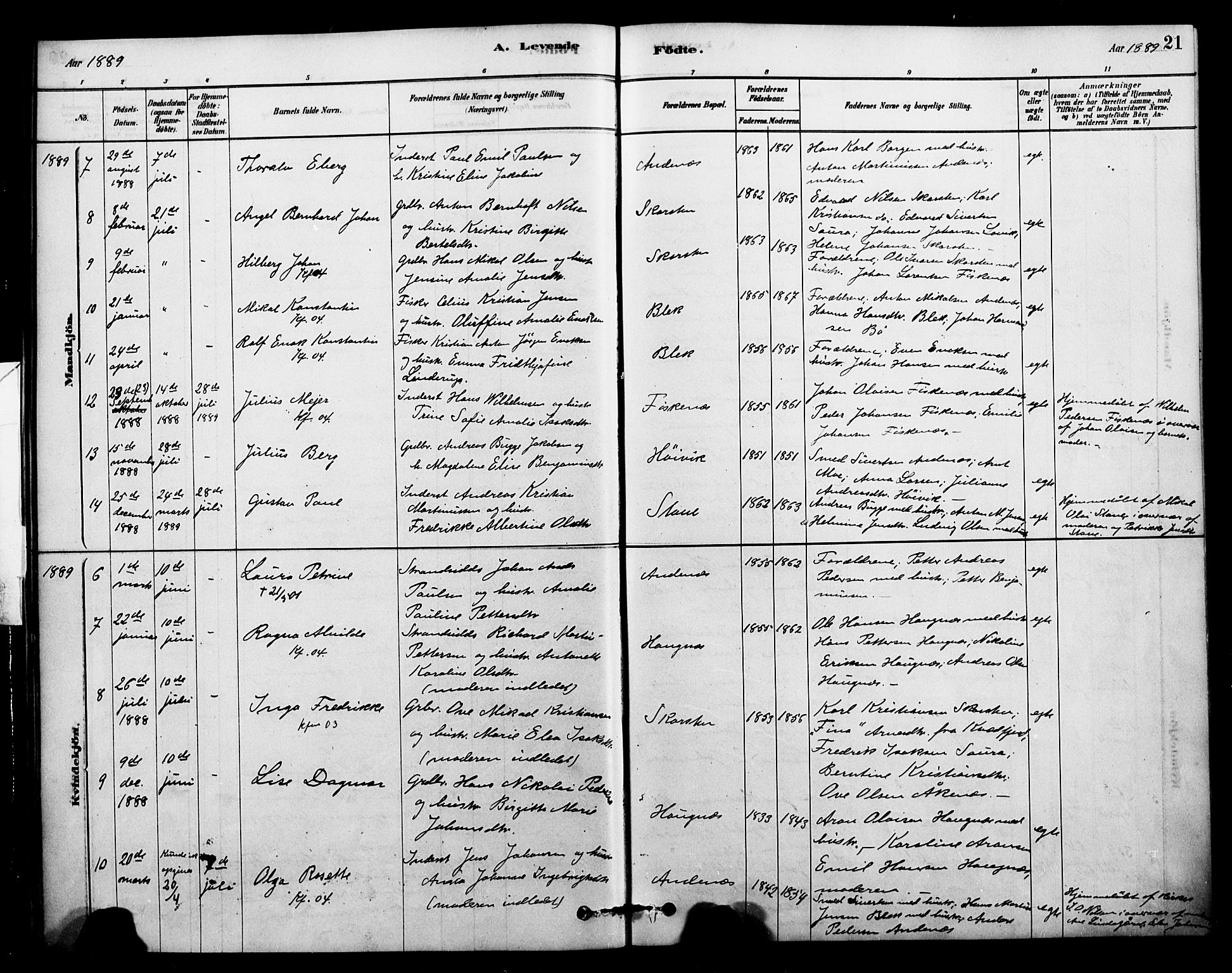 Ministerialprotokoller, klokkerbøker og fødselsregistre - Nordland, AV/SAT-A-1459/899/L1436: Parish register (official) no. 899A04, 1881-1896, p. 21