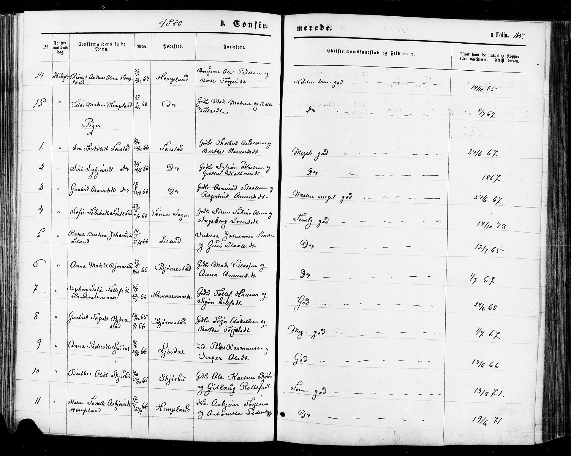 Sirdal sokneprestkontor, AV/SAK-1111-0036/F/Fa/Fab/L0003: Parish register (official) no. A 3, 1874-1886, p. 165