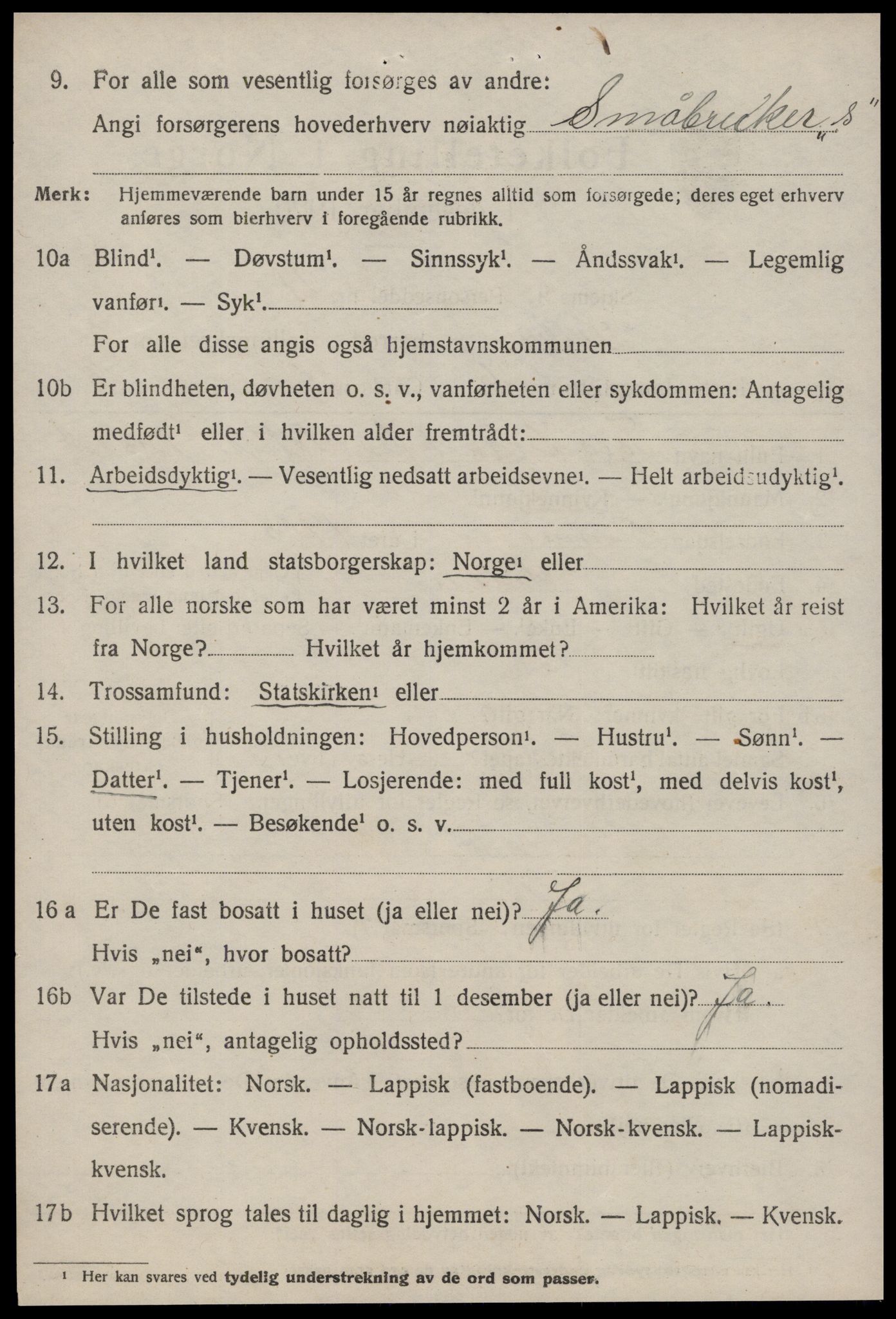 SAT, 1920 census for Selbu, 1920, p. 3479