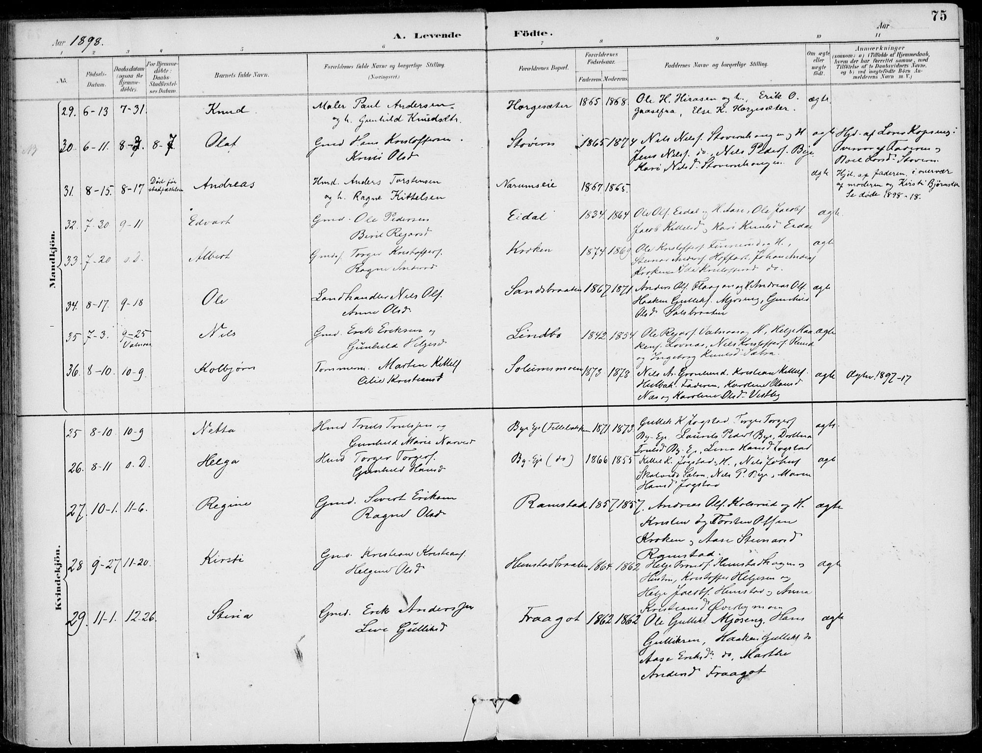 Sigdal kirkebøker, AV/SAKO-A-245/F/Fb/L0001: Parish register (official) no. II 1, 1888-1900, p. 75