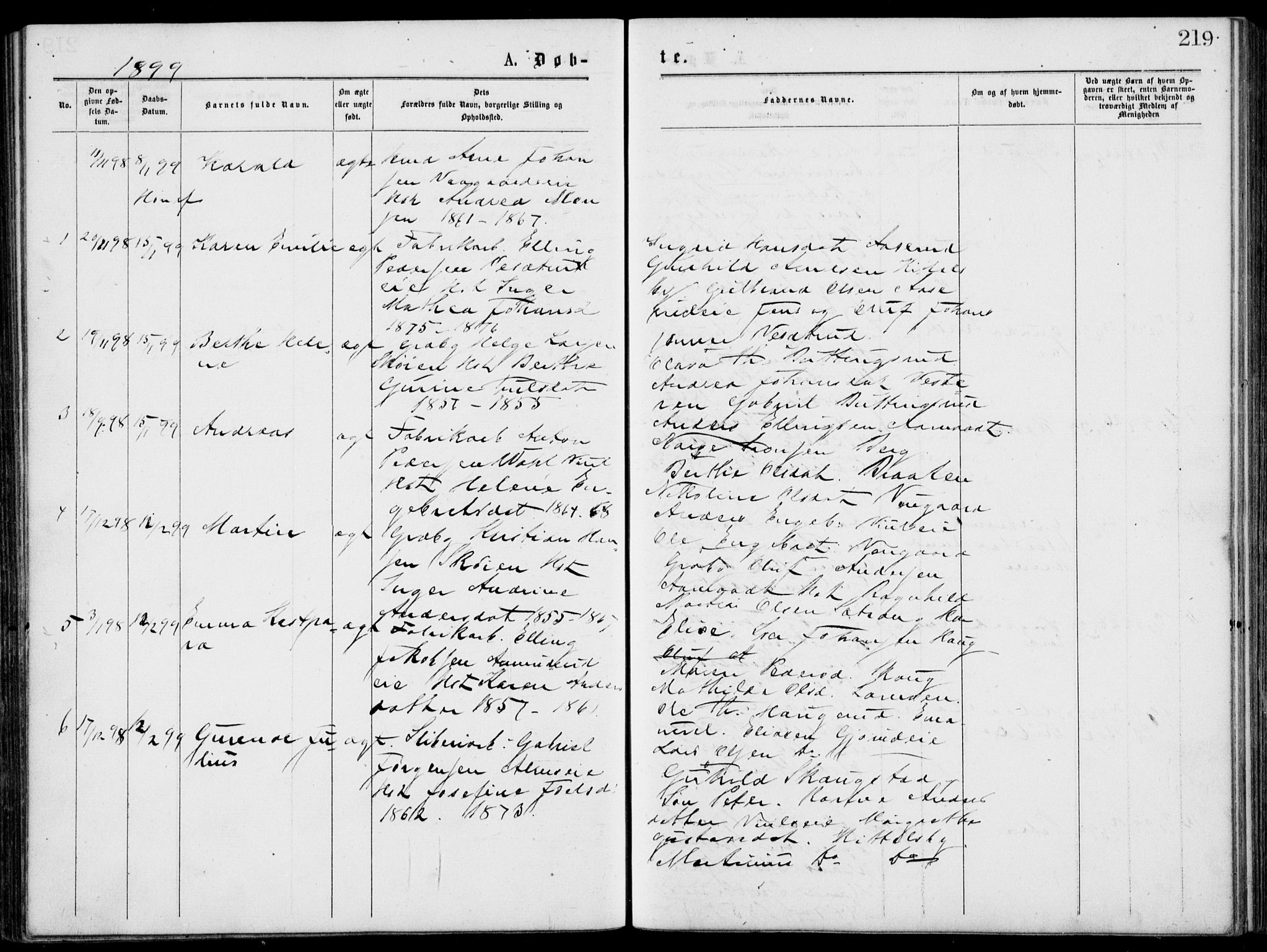 Norderhov kirkebøker, AV/SAKO-A-237/G/Gb/L0001: Parish register (copy) no. II 1, 1876-1899, p. 219