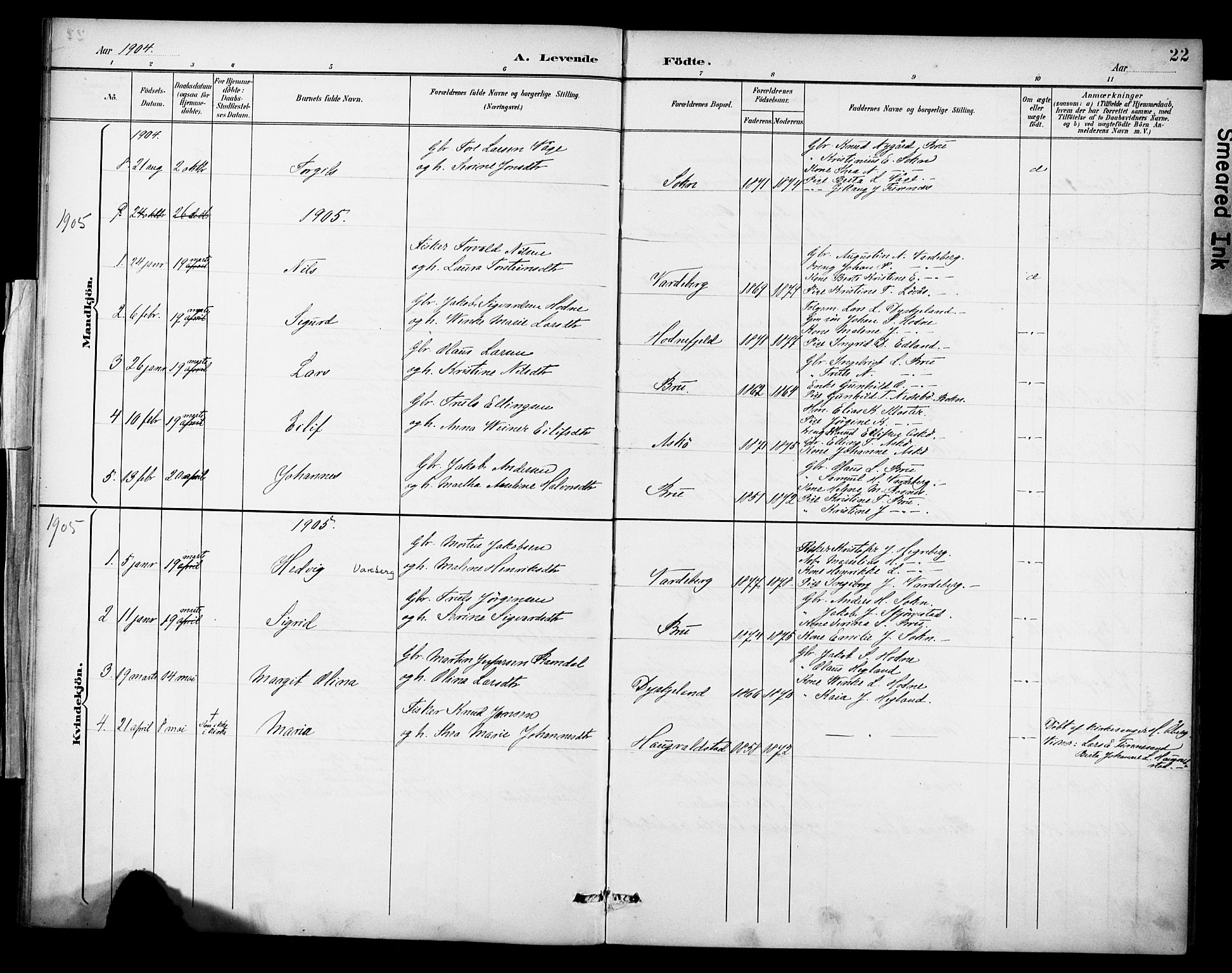 Rennesøy sokneprestkontor, SAST/A -101827/H/Ha/Haa/L0015: Parish register (official) no. A 15, 1891-1908, p. 22