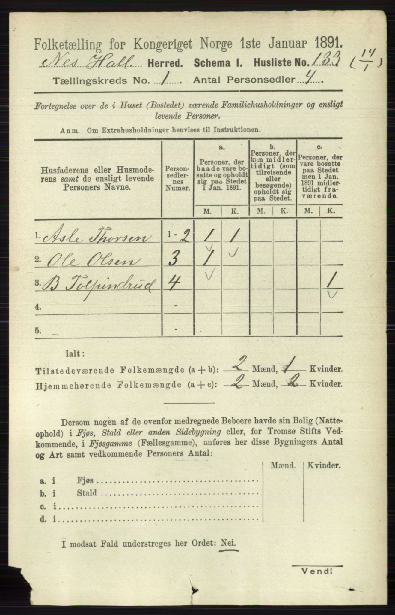 RA, 1891 census for 0616 Nes, 1891, p. 175