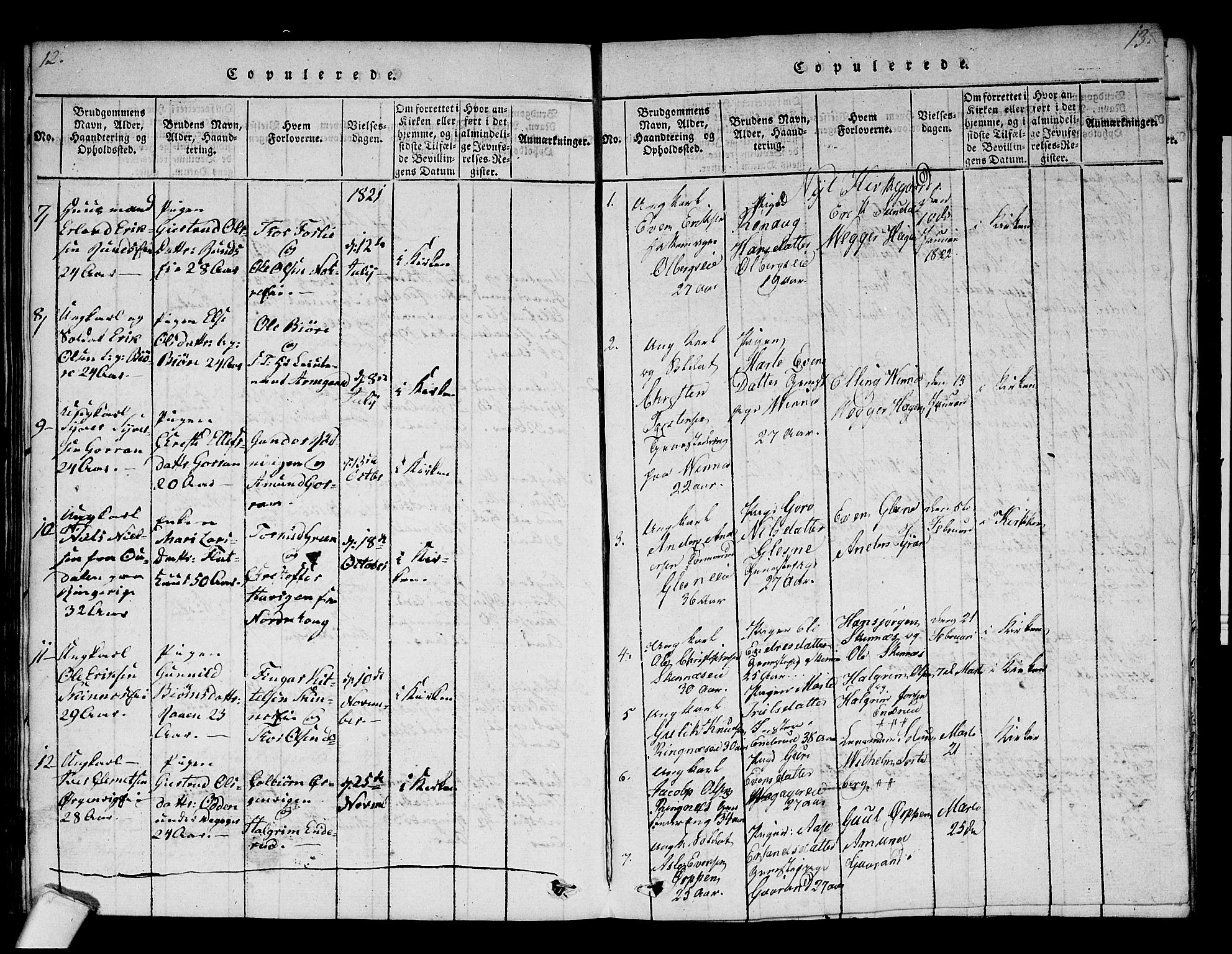 Krødsherad kirkebøker, SAKO/A-19/F/Fa/L0001: Parish register (official) no. 1, 1815-1829, p. 12-13
