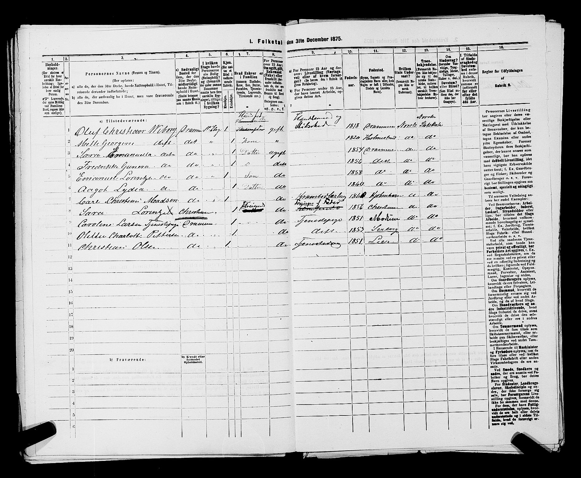 SAKO, 1875 census for 0602 Drammen, 1875, p. 2901