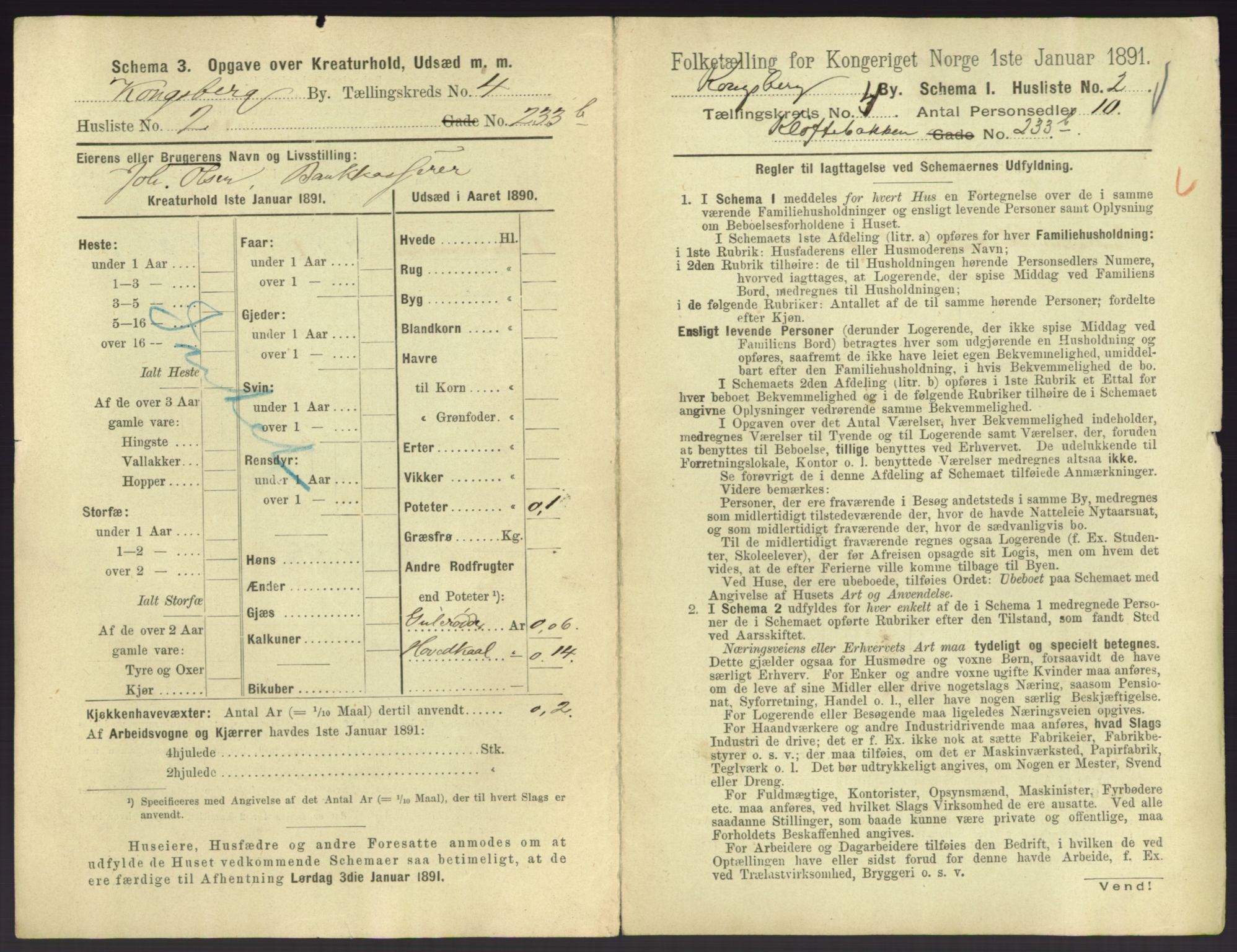 RA, 1891 census for 0604 Kongsberg, 1891, p. 555