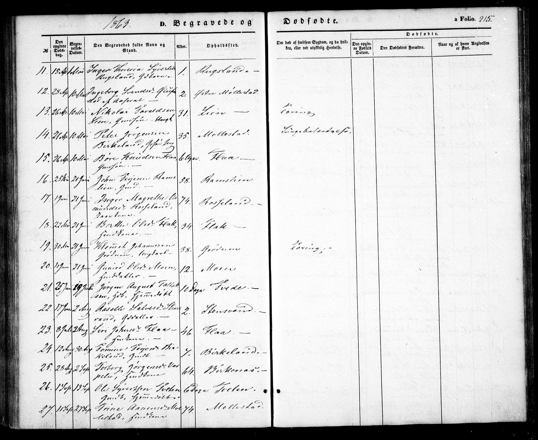 Birkenes sokneprestkontor, AV/SAK-1111-0004/F/Fa/L0003: Parish register (official) no. A 3, 1850-1866, p. 215