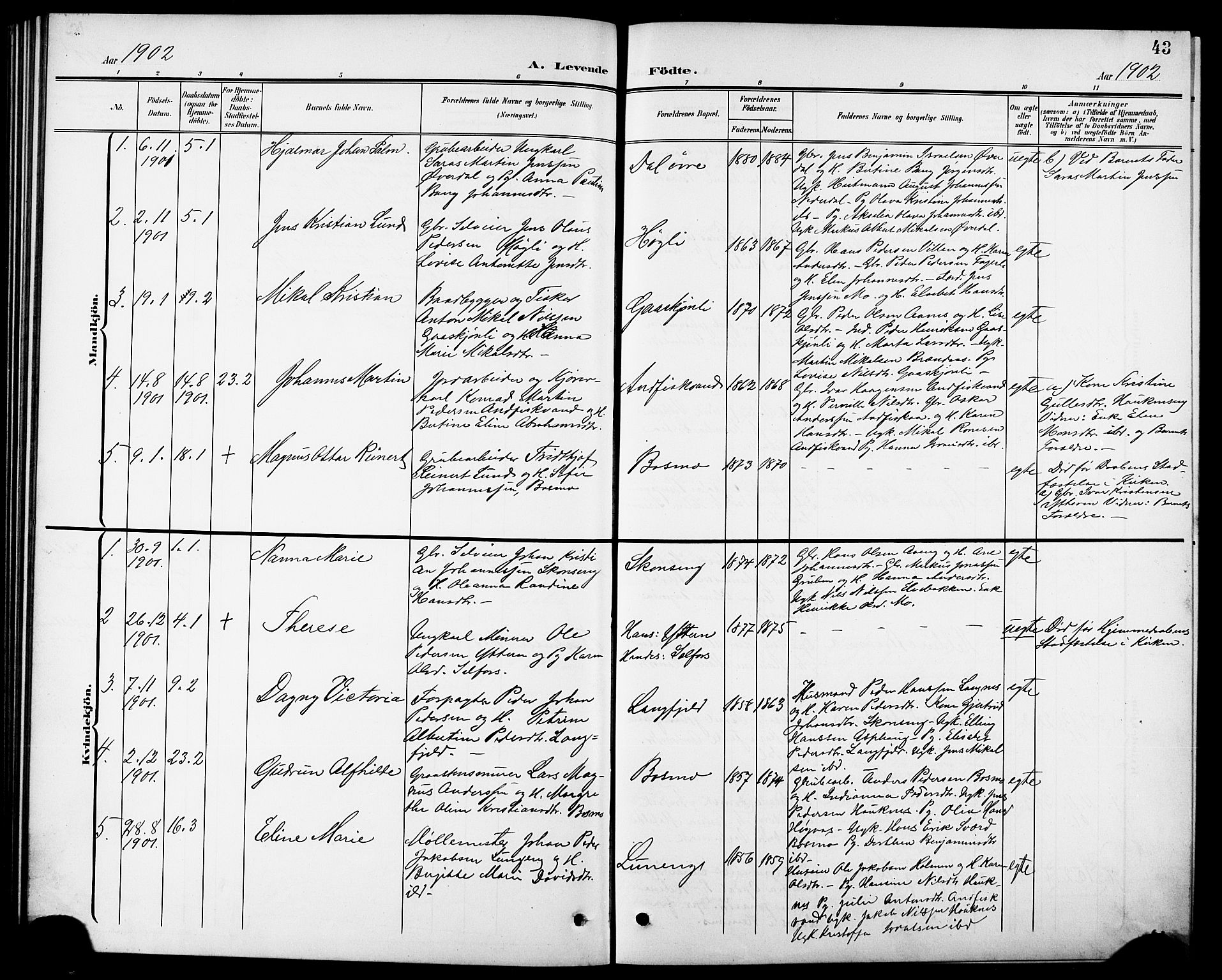 Ministerialprotokoller, klokkerbøker og fødselsregistre - Nordland, AV/SAT-A-1459/827/L0422: Parish register (copy) no. 827C11, 1899-1912, p. 43