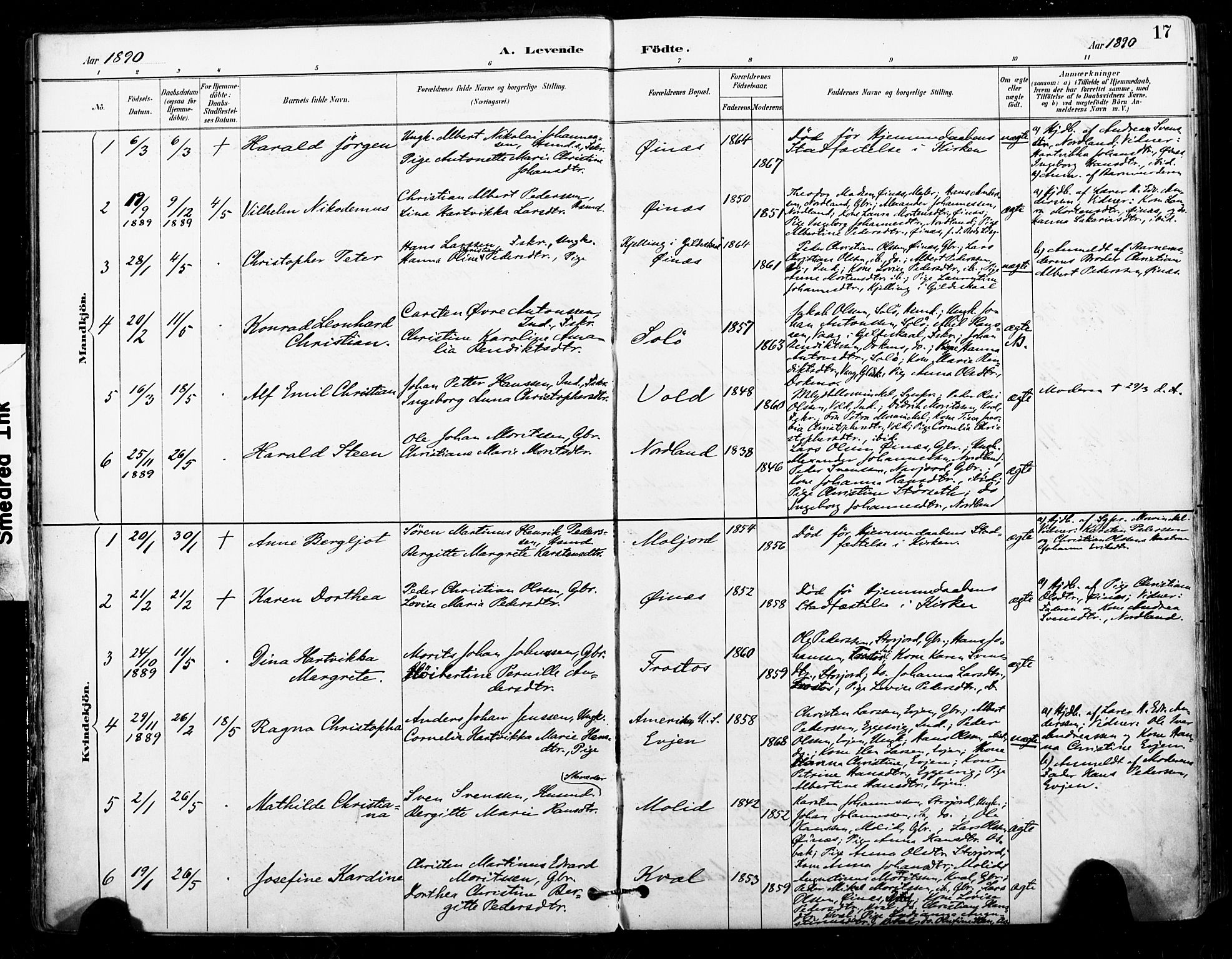 Ministerialprotokoller, klokkerbøker og fødselsregistre - Nordland, SAT/A-1459/846/L0646: Parish register (official) no. 846A04, 1887-1901, p. 17