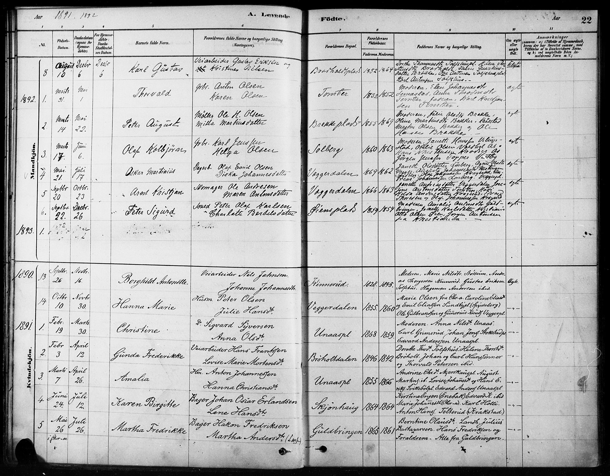 Hobøl prestekontor Kirkebøker, AV/SAO-A-2002/F/Fb/L0001: Parish register (official) no. II 1, 1878-1904, p. 22