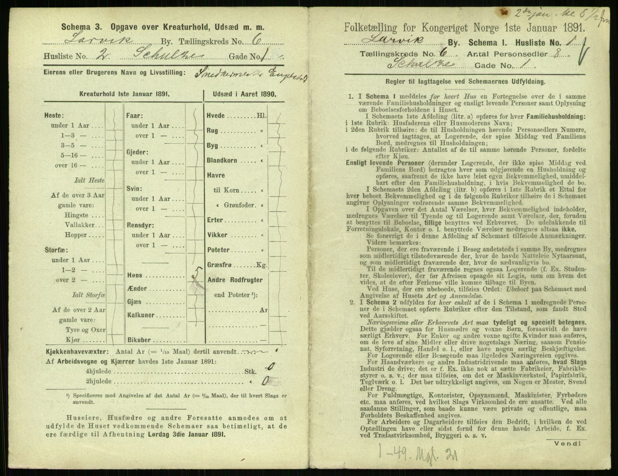 RA, 1891 census for 0707 Larvik, 1891, p. 807