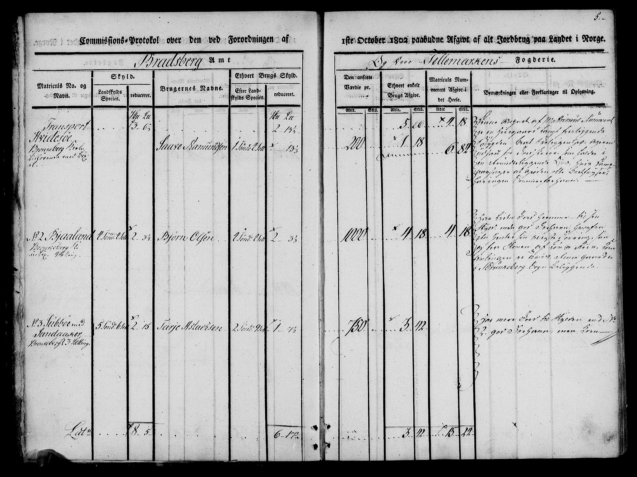 Rentekammeret inntil 1814, Realistisk ordnet avdeling, AV/RA-EA-4070/N/Ne/Nea/L0075: Øvre Telemarken fogderi. Kommisjonsprotokoll for fogderiets vestre del - Kviteseid, Vinje, Moland [):Fyresdal] og Lårdal prestegjeld., 1803, p. 5