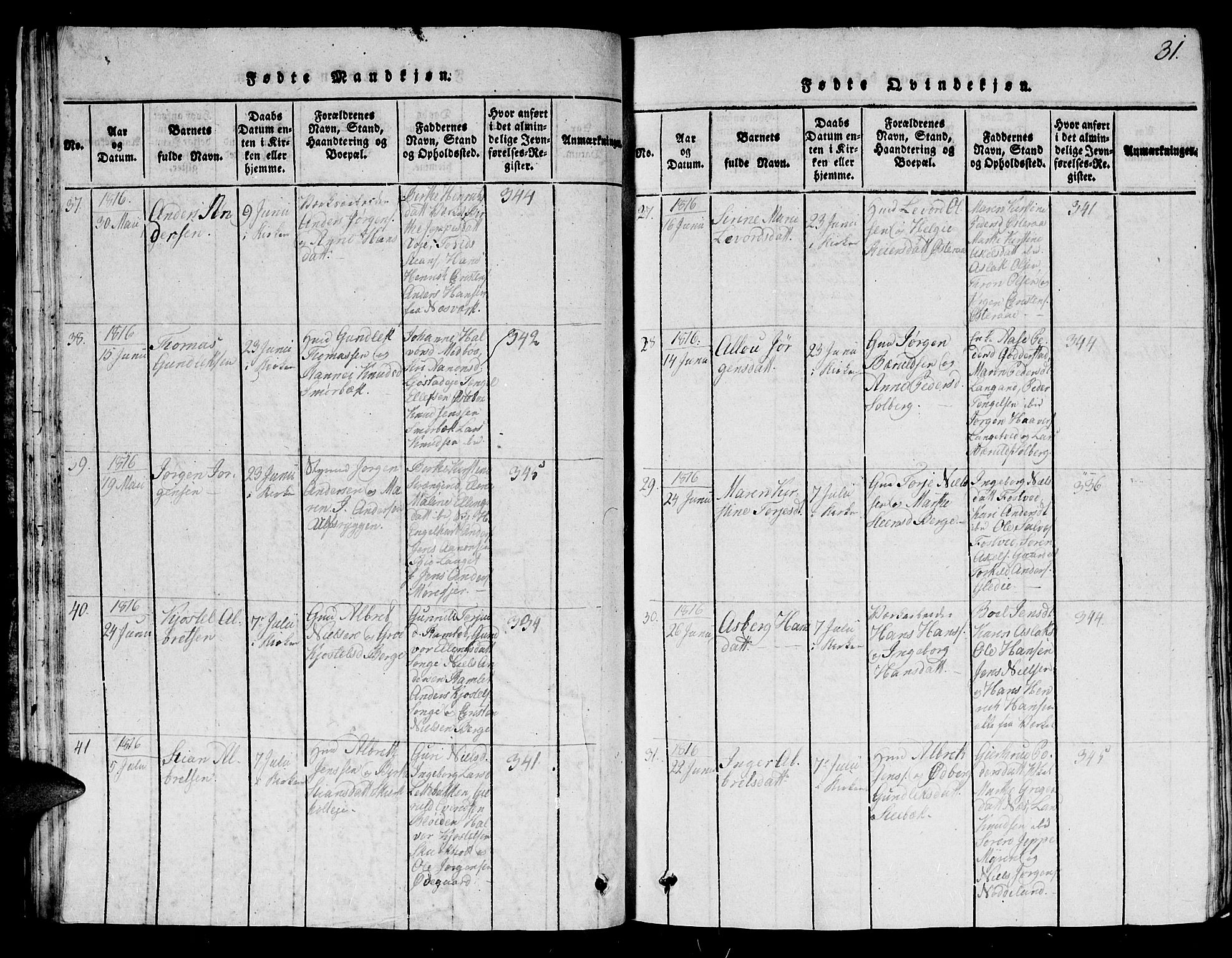 Holt sokneprestkontor, AV/SAK-1111-0021/F/Fb/L0006: Parish register (copy) no. B 6, 1813-1823, p. 31