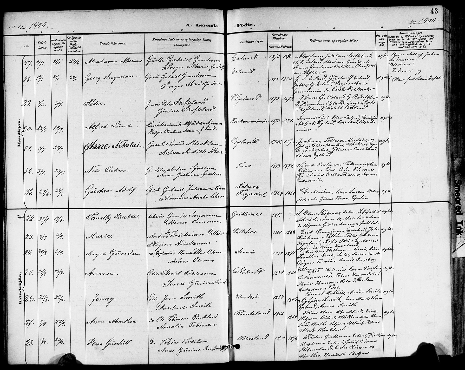 Sør-Audnedal sokneprestkontor, AV/SAK-1111-0039/F/Fb/Fbb/L0006: Parish register (copy) no. B 6, 1893-1915, p. 43