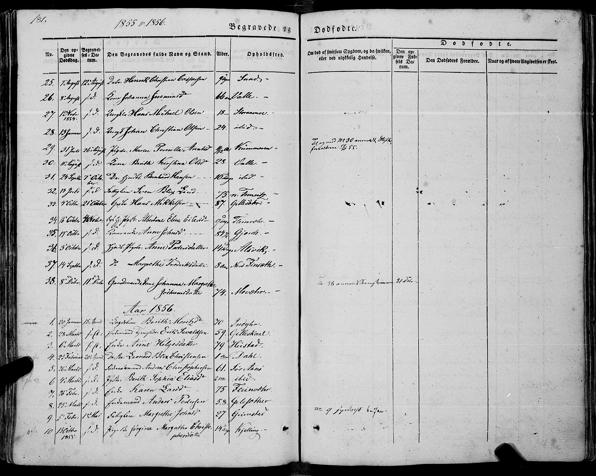 Ministerialprotokoller, klokkerbøker og fødselsregistre - Nordland, AV/SAT-A-1459/805/L0097: Parish register (official) no. 805A04, 1837-1861, p. 181